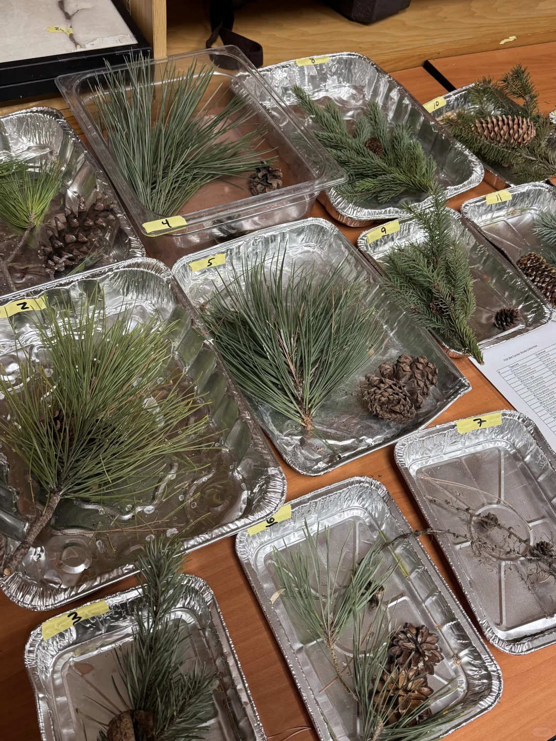 复习林业期末考be like