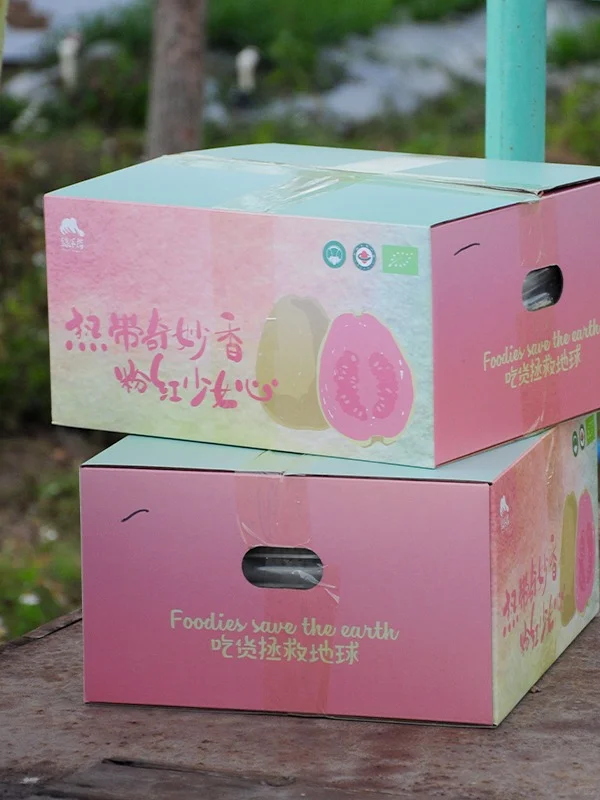 初冬多巴胺爆表💥|台风中幸存的番石榴