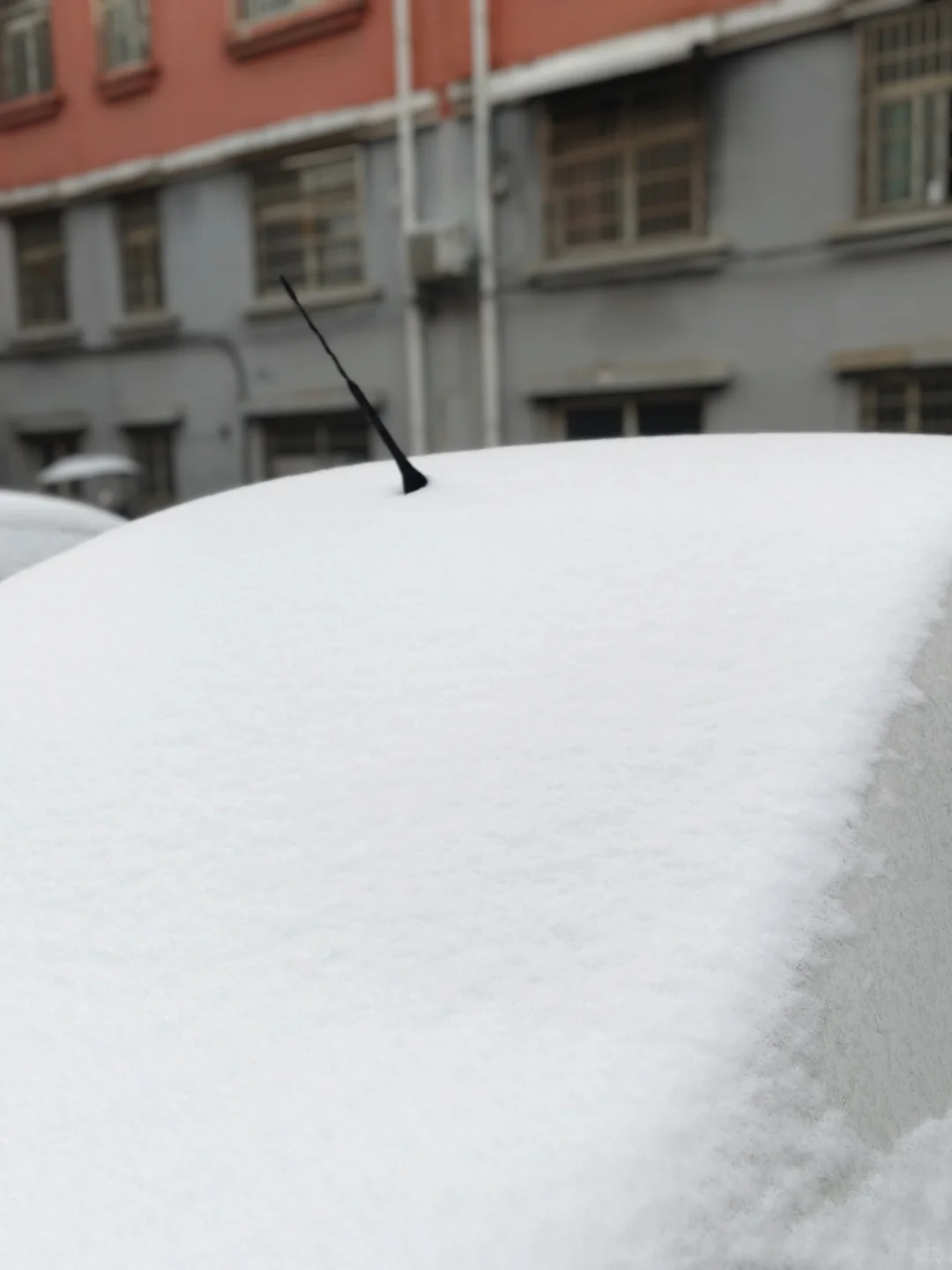 保险公司个险内勤是没有周六的