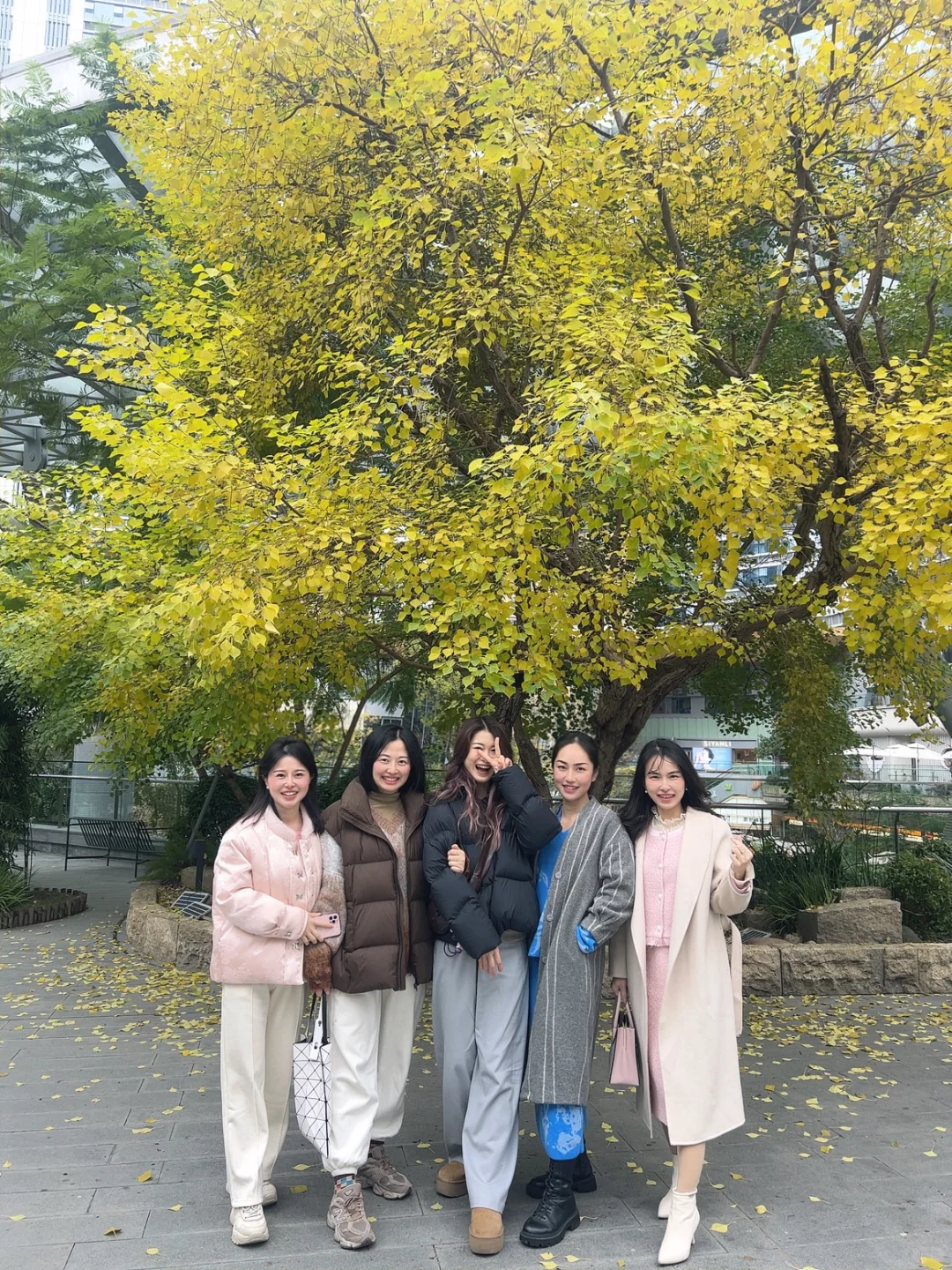 姐妹会面何其欢乐！