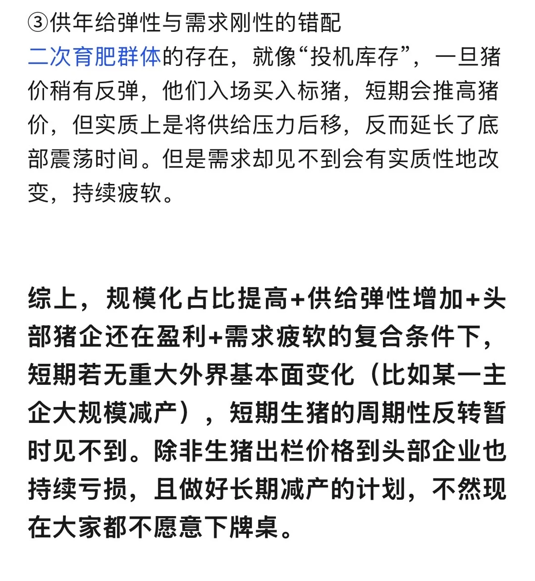 明年十倍靠它了？