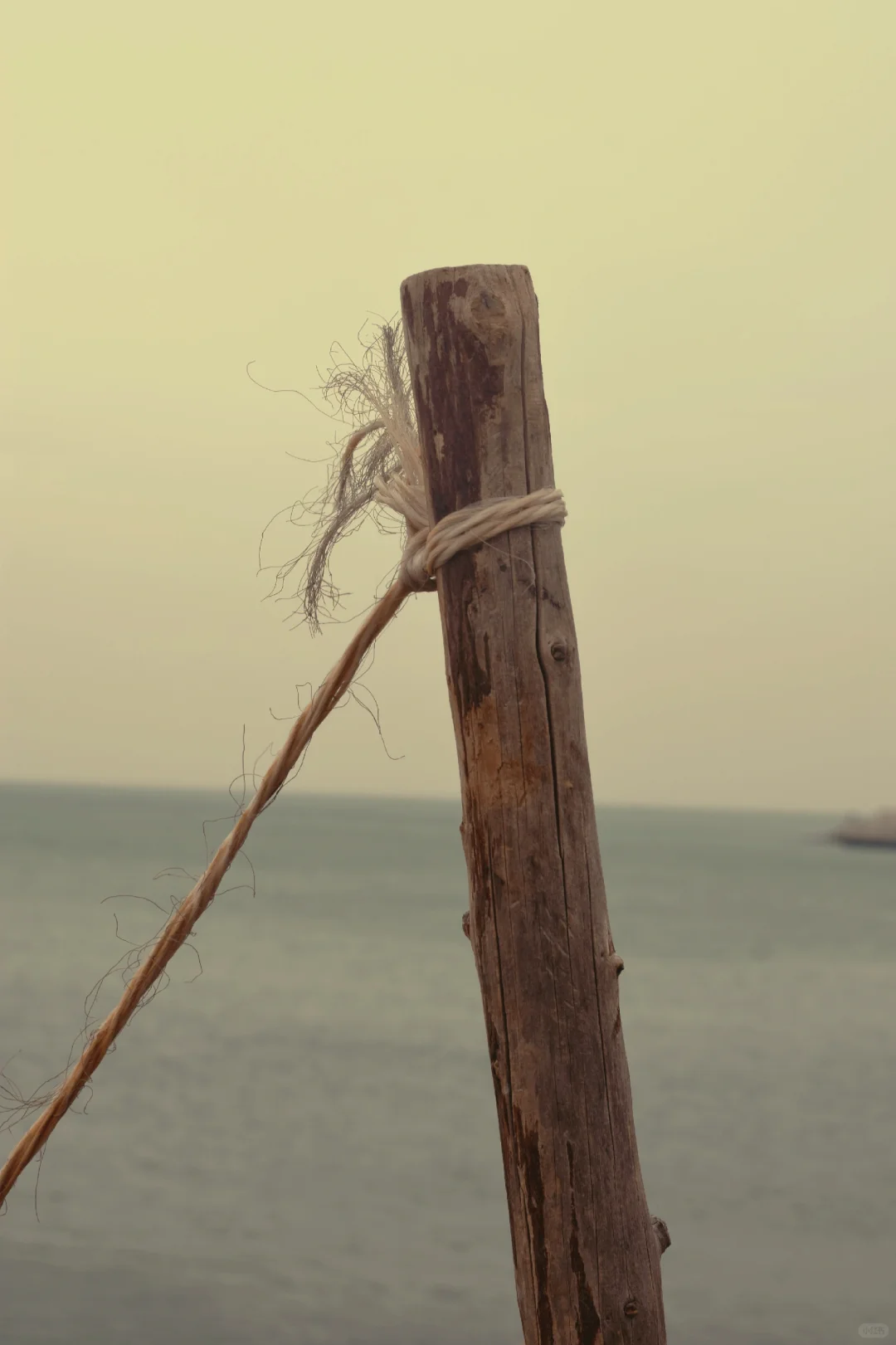 朋友圈美学 ｜ 渔人与水