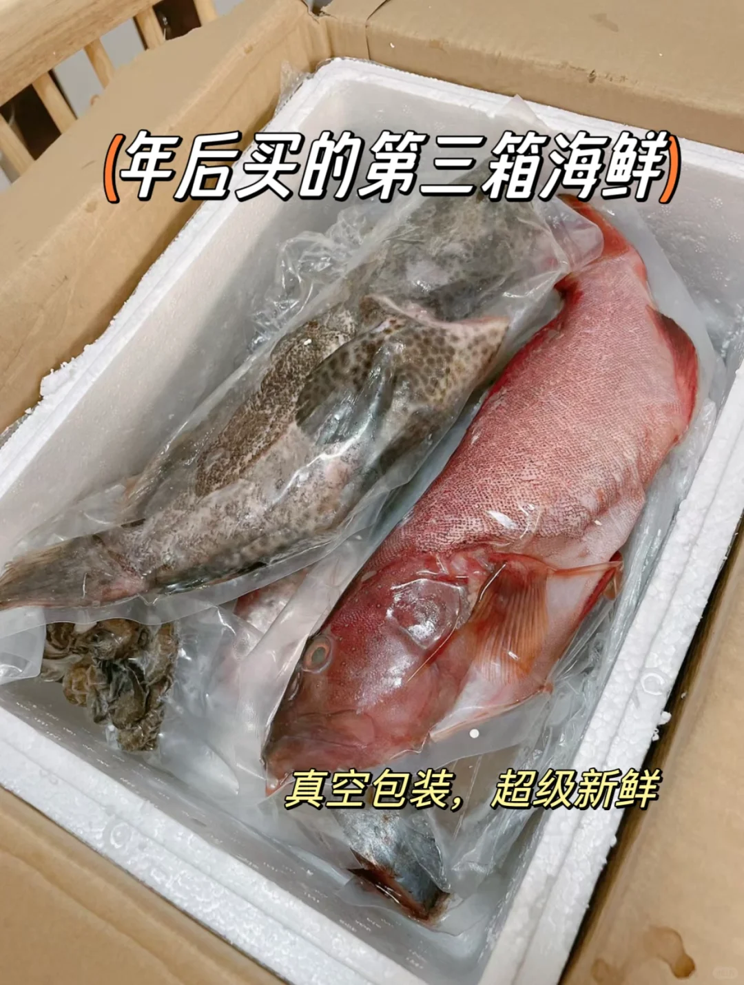 我摊牌了❗️❗️我真的是卖海鲜的❗️❗️❗️