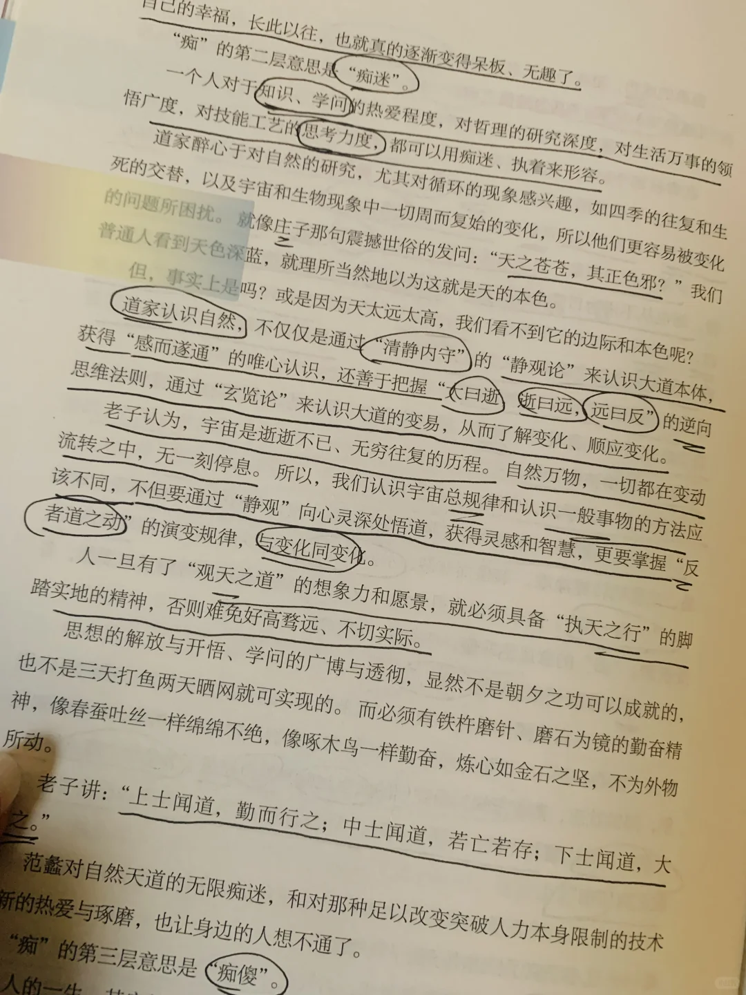 《道商范蠡》｜原来财神爷的商道是“反人性”的✨