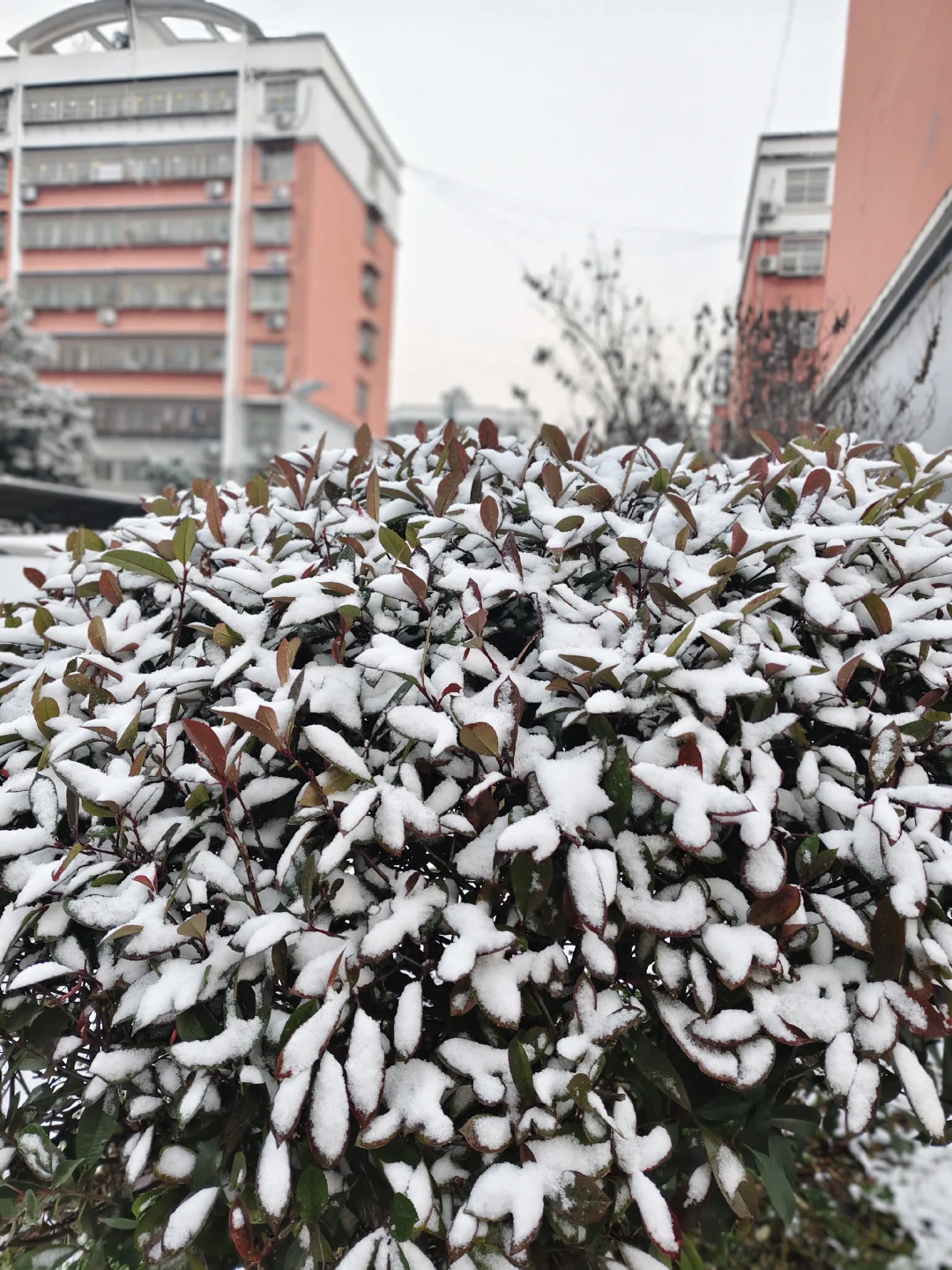 保险公司个险内勤是没有周六的