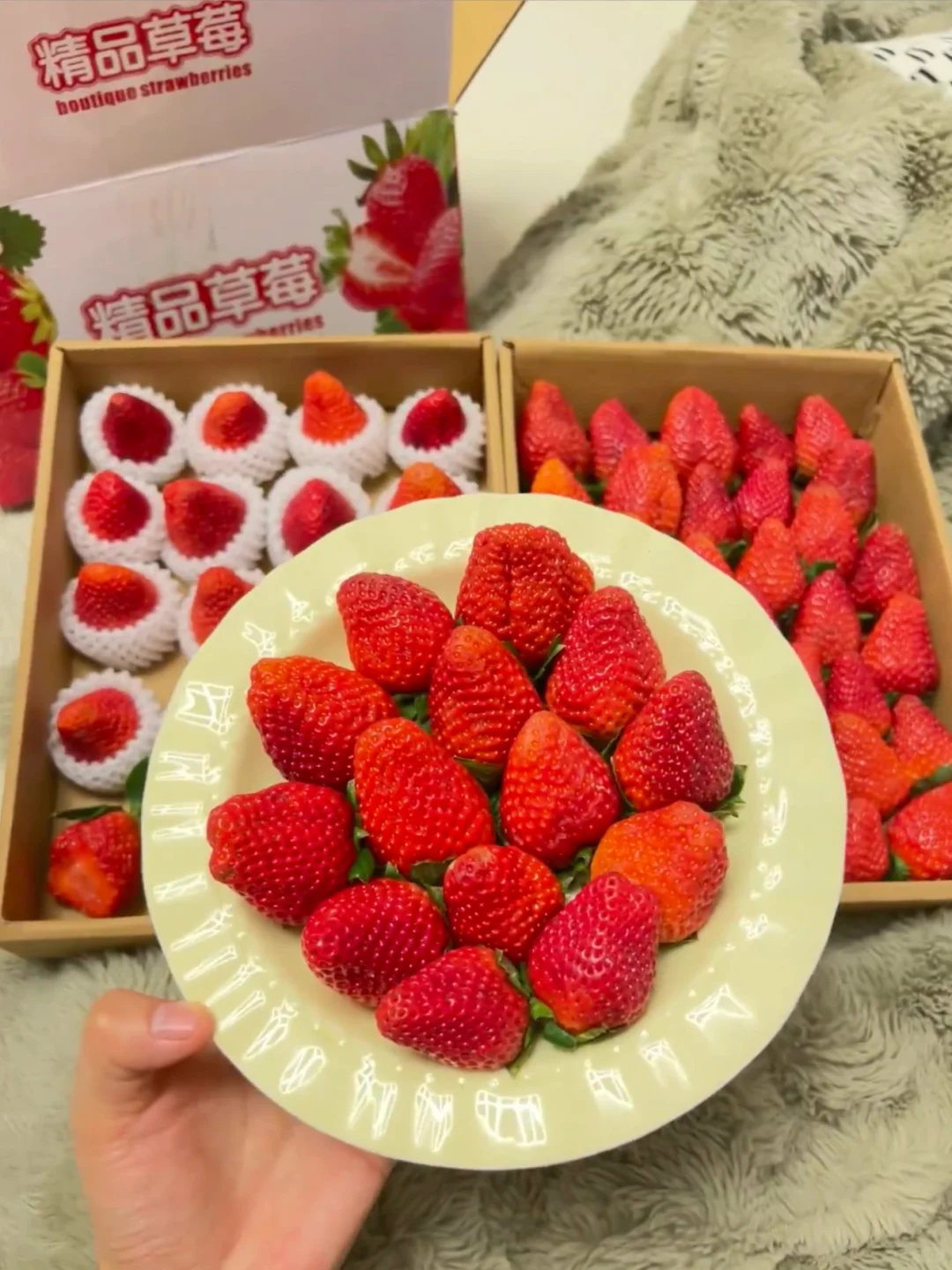 又到草莓季啦🍓大凉山露天冬草莓即将上线