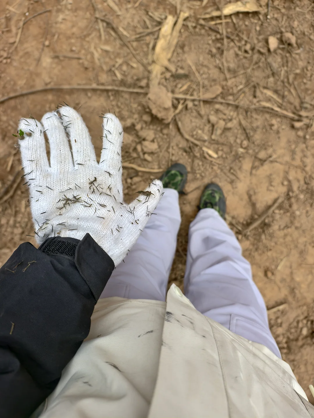林业人的日常，只要不下雨就爬山