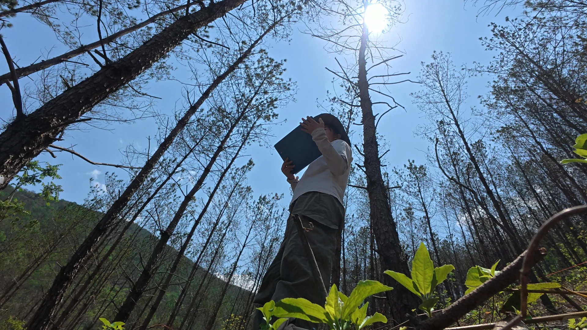 这次的野外工作告一段落