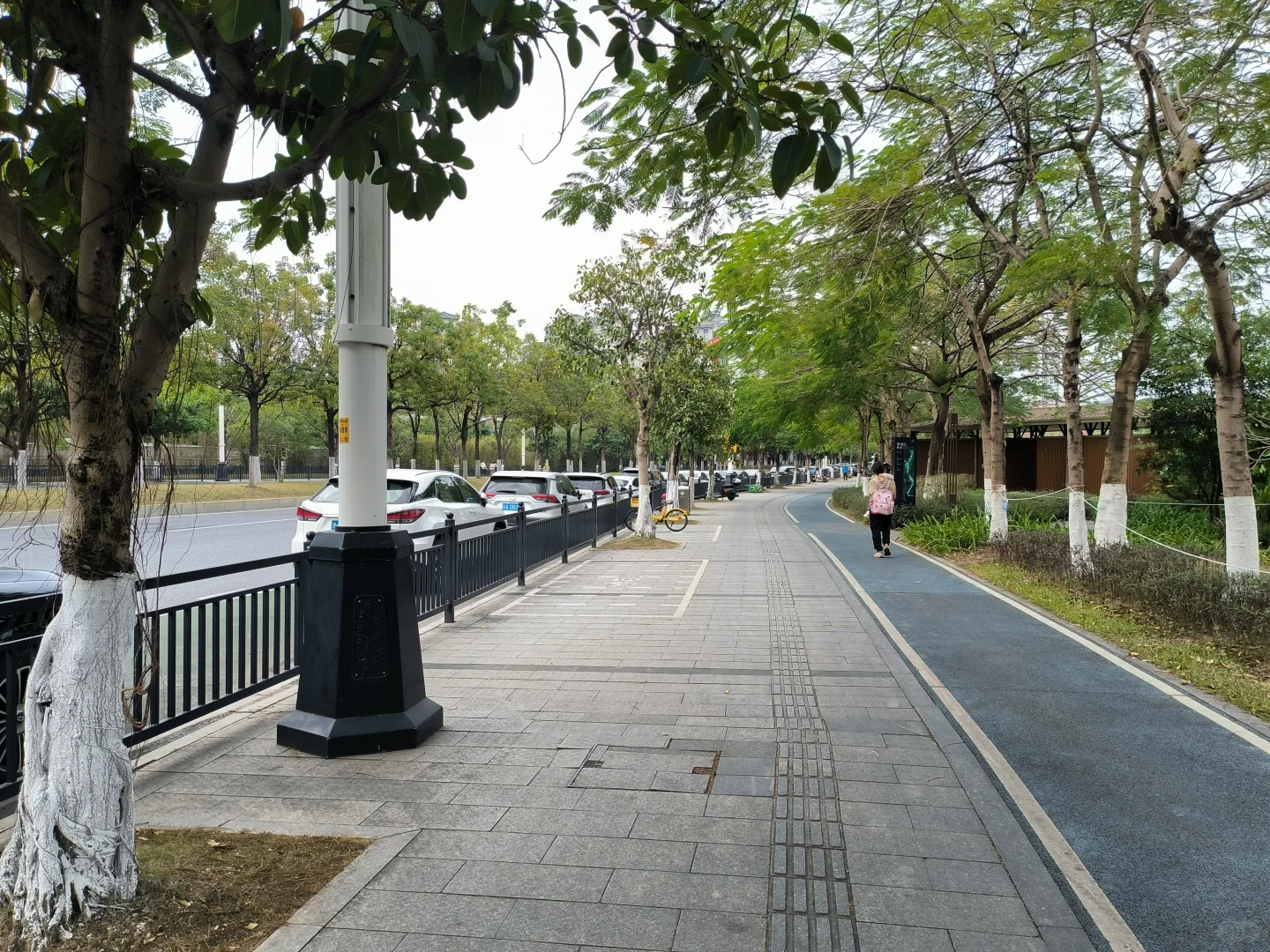 长岭农业公园｜天幕野餐｜钓鱼烧烤｜遛娃