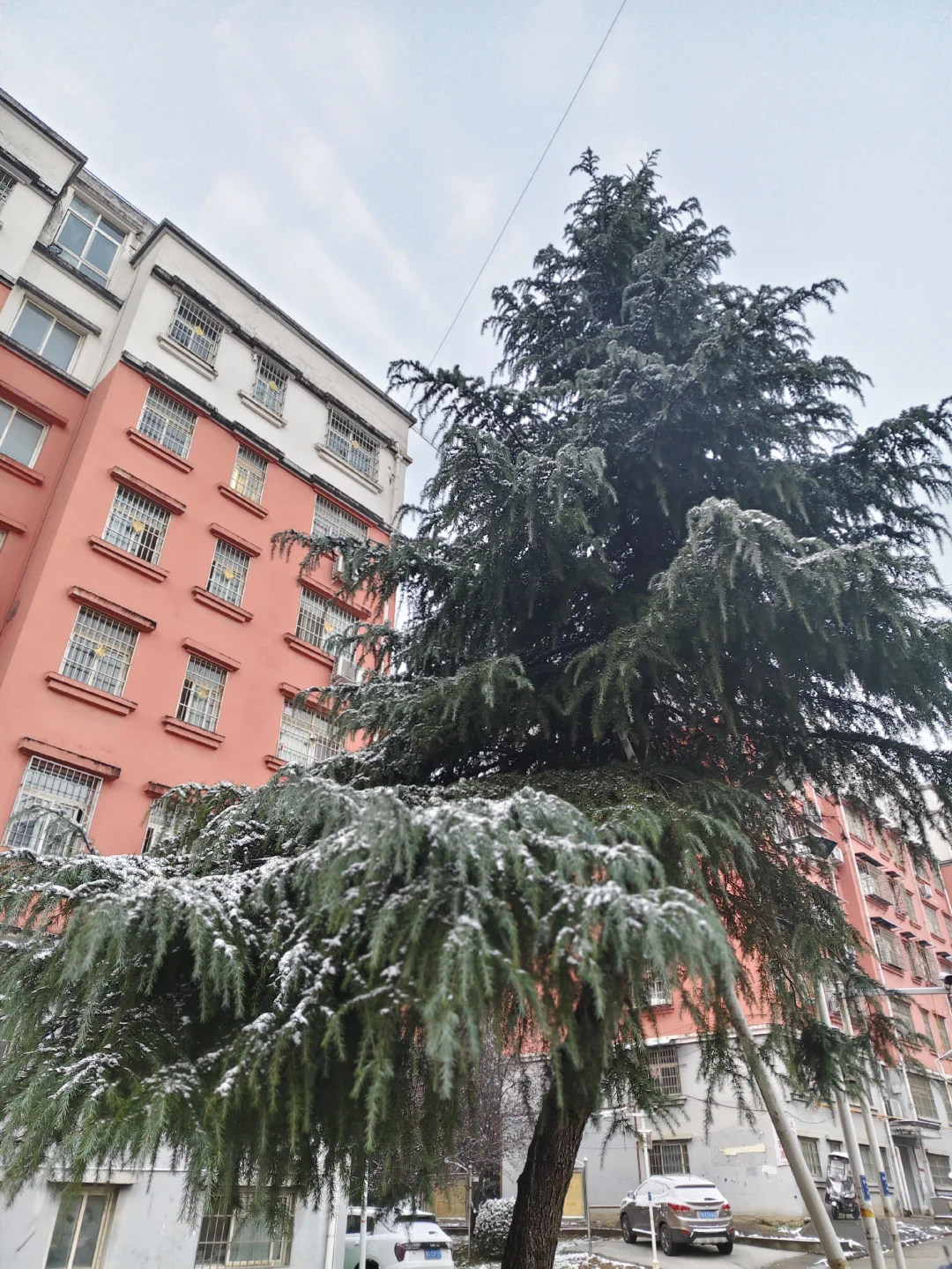 保险公司个险内勤是没有周六的