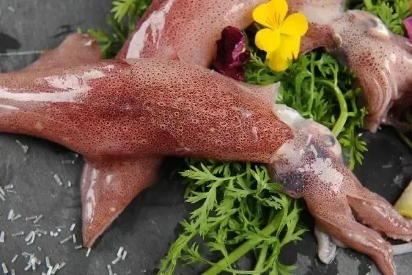 印尼将海产重点对象转向鱿鱼并积极向中国出