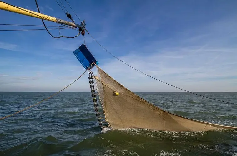 青岛海钓之拖网捕鱼|出海捕鱼无敌爽歪歪