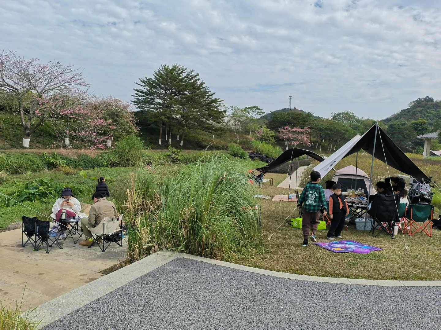 长岭农业公园｜天幕野餐｜钓鱼烧烤｜遛娃