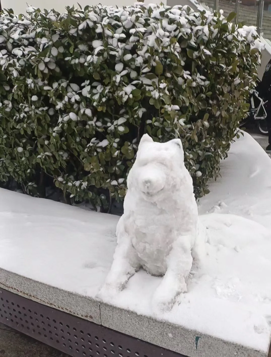 回顾 23 年北林的狗神进化史