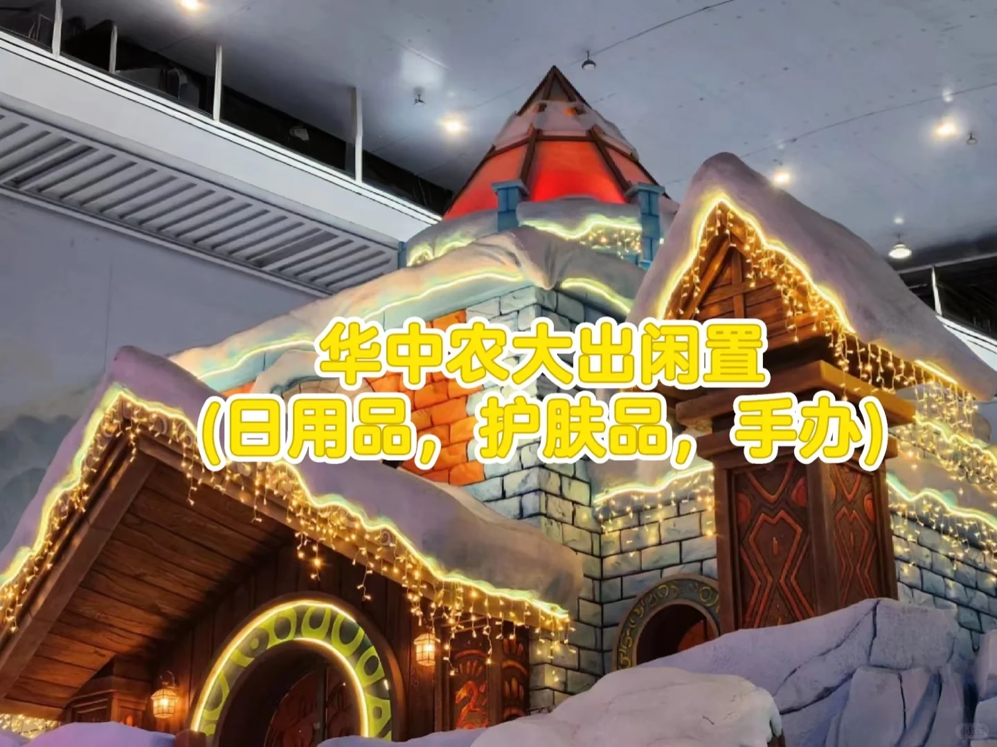 华中农业大学出闲置