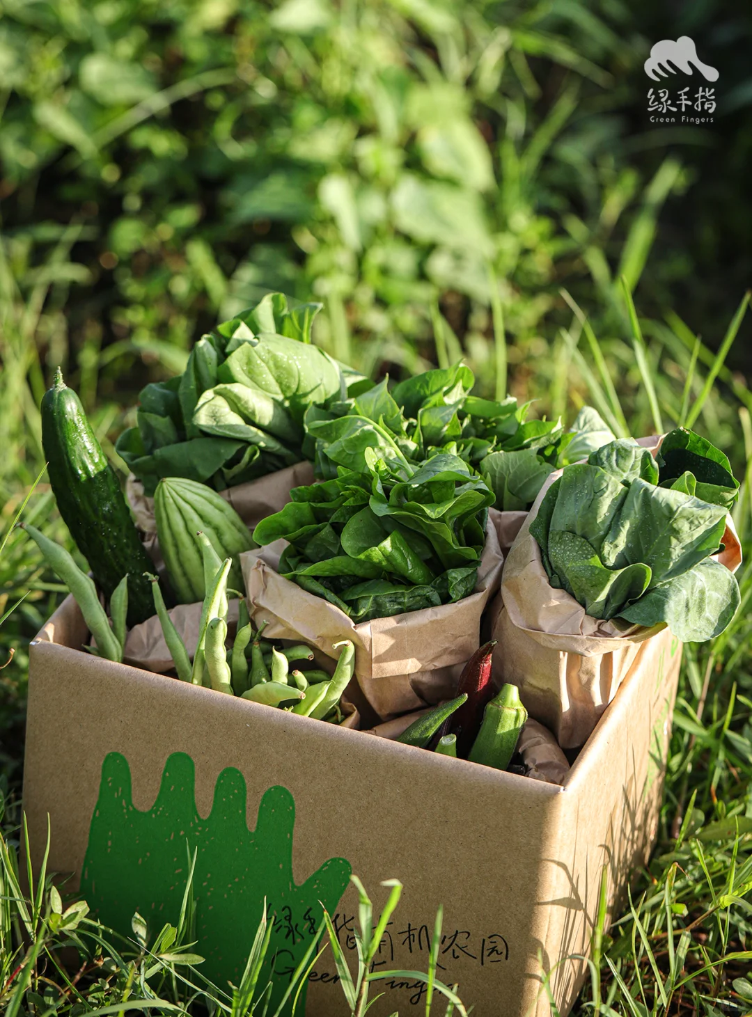绿手指友好集市开业❗️有机好货速囤❗️