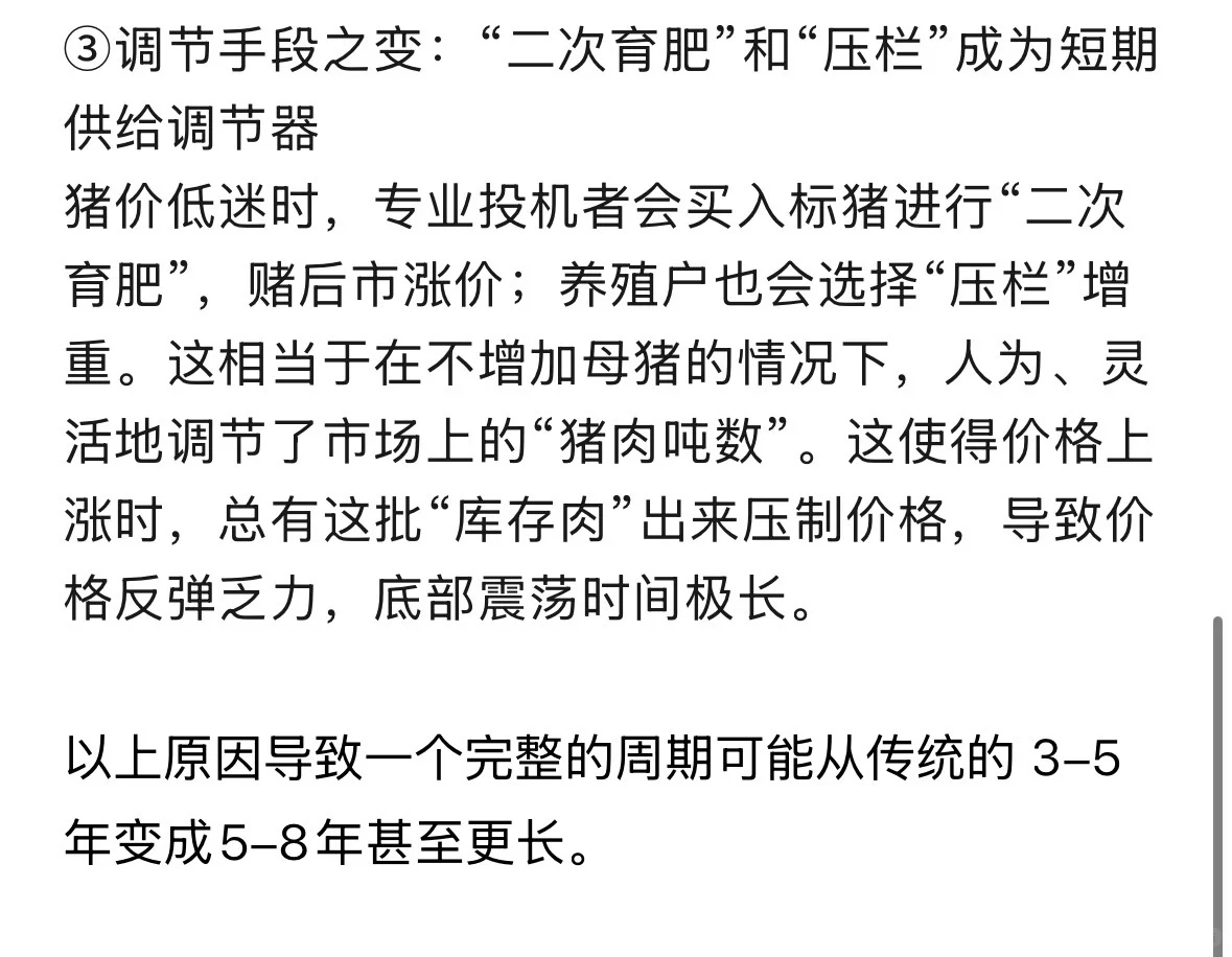 明年十倍靠它了？