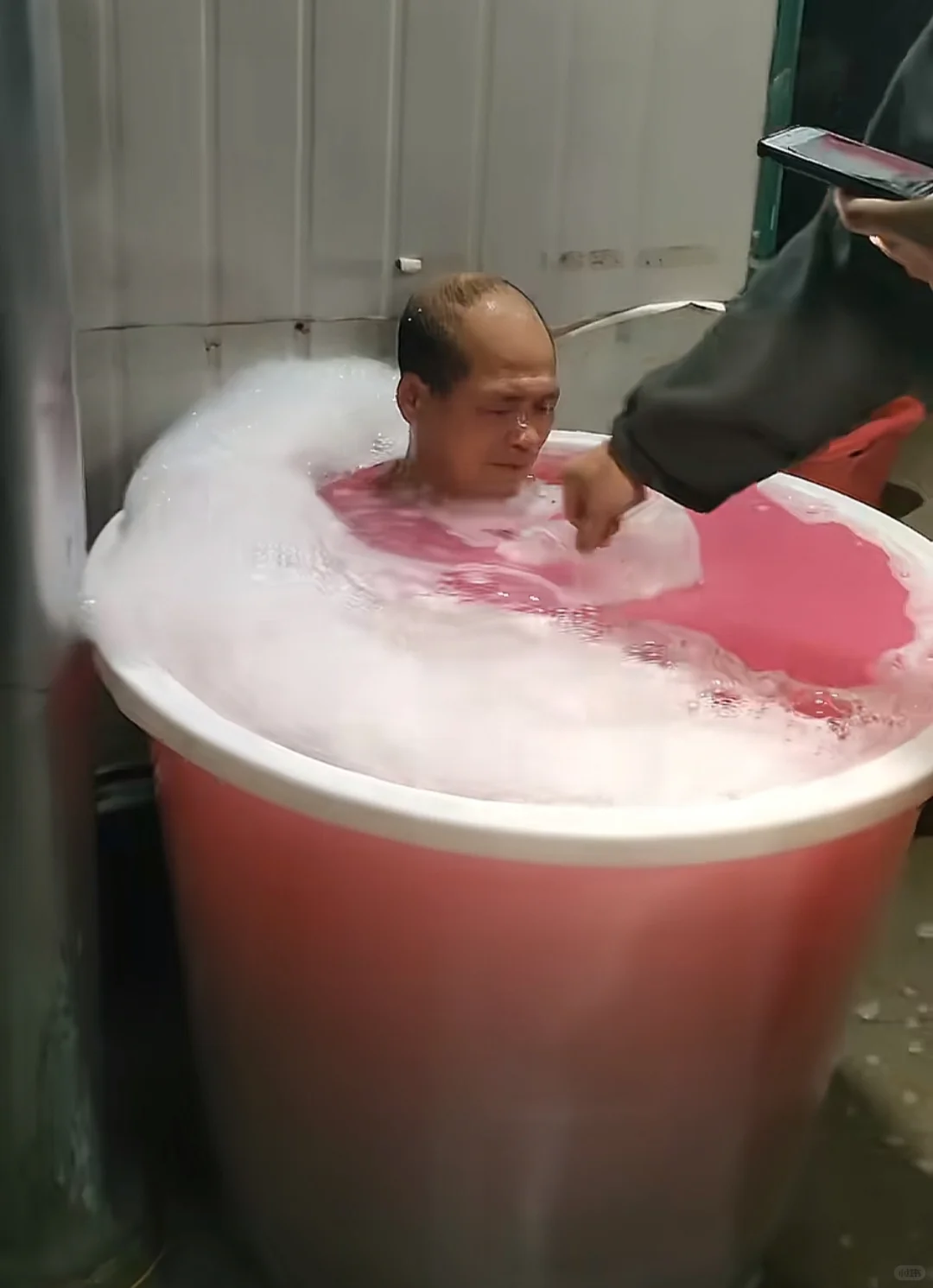 为什么越来越多年轻人选择去养猪！