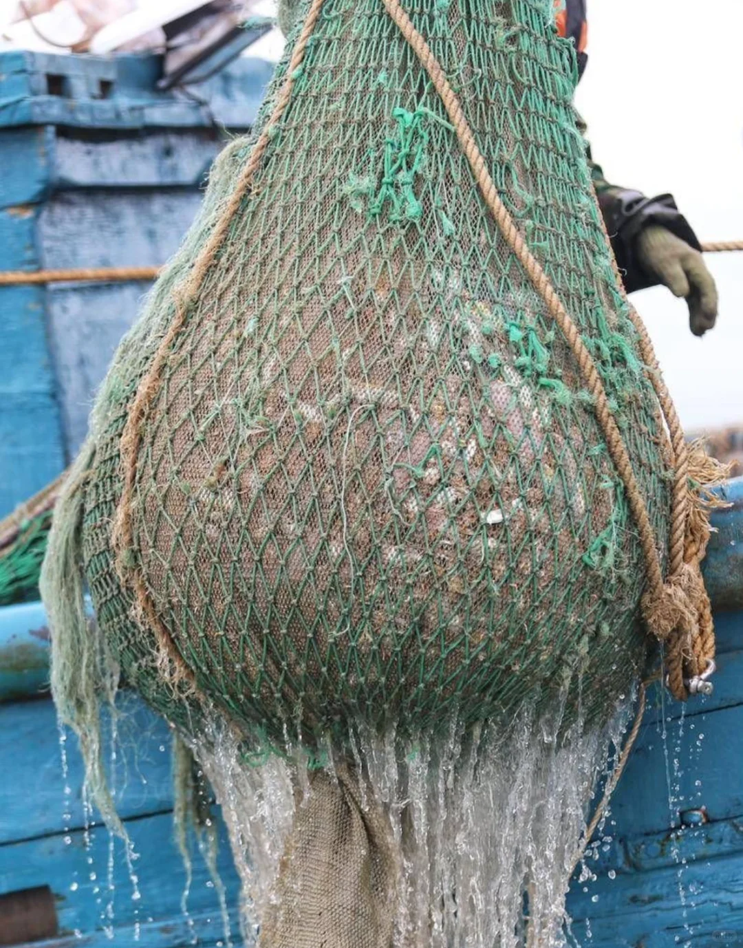 青岛海钓之拖网捕鱼|出海捕鱼无敌爽歪歪