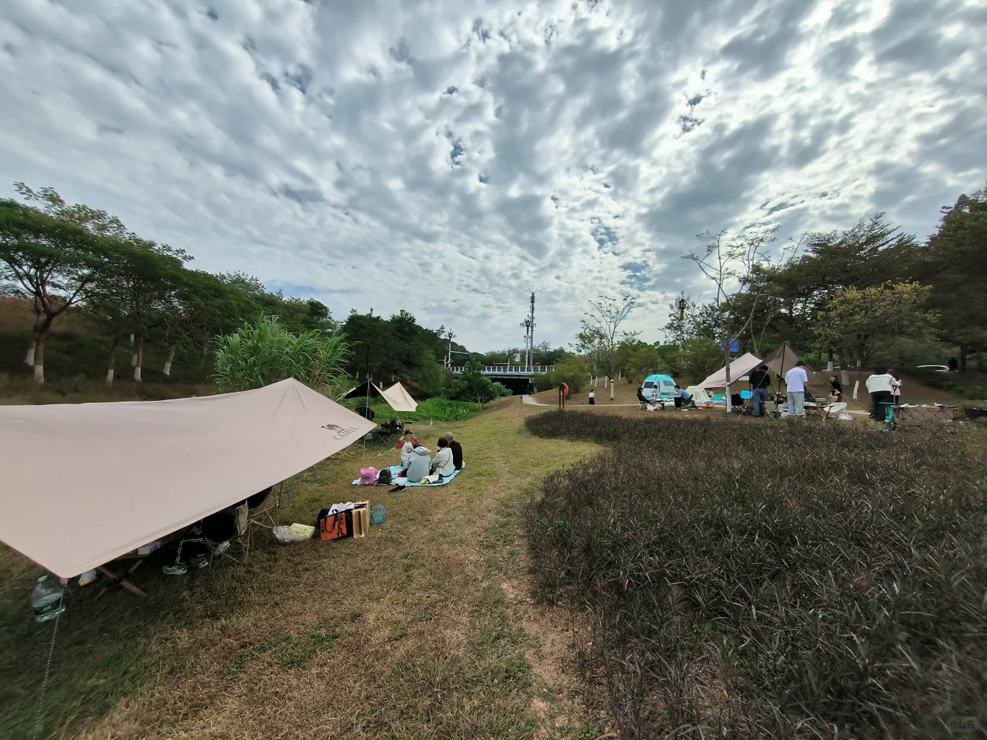 长岭农业公园｜天幕野餐｜钓鱼烧烤｜遛娃