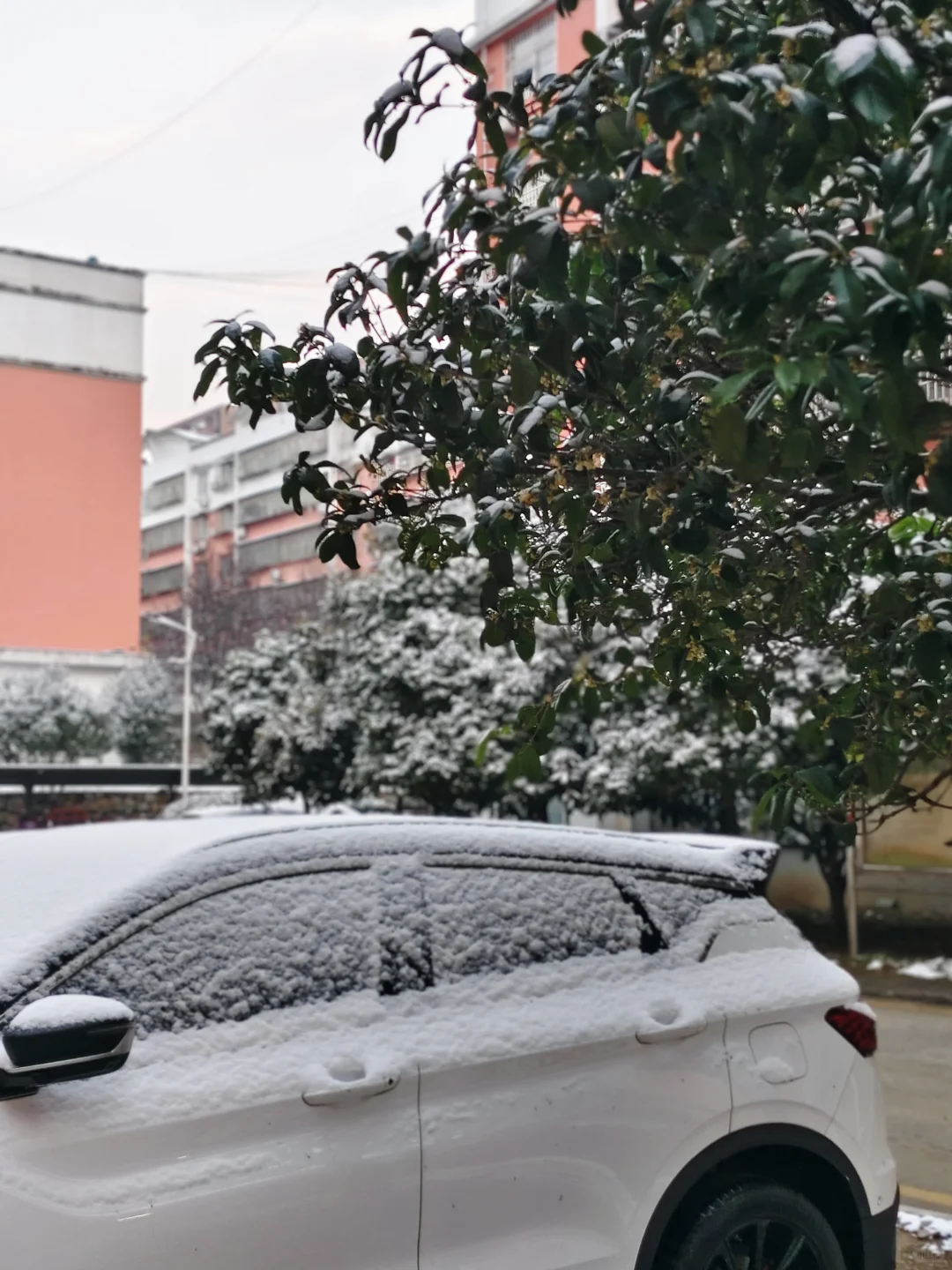 保险公司个险内勤是没有周六的