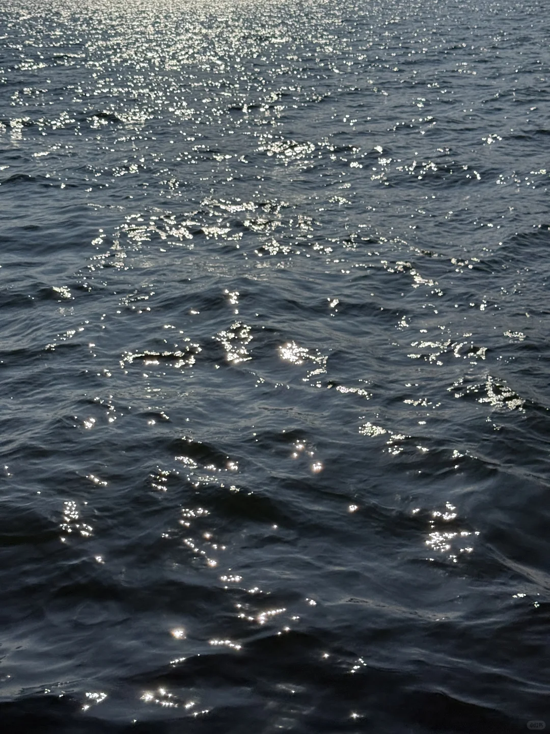 包渔船出海也太爽了吧！还捕到了我的“大鱼”