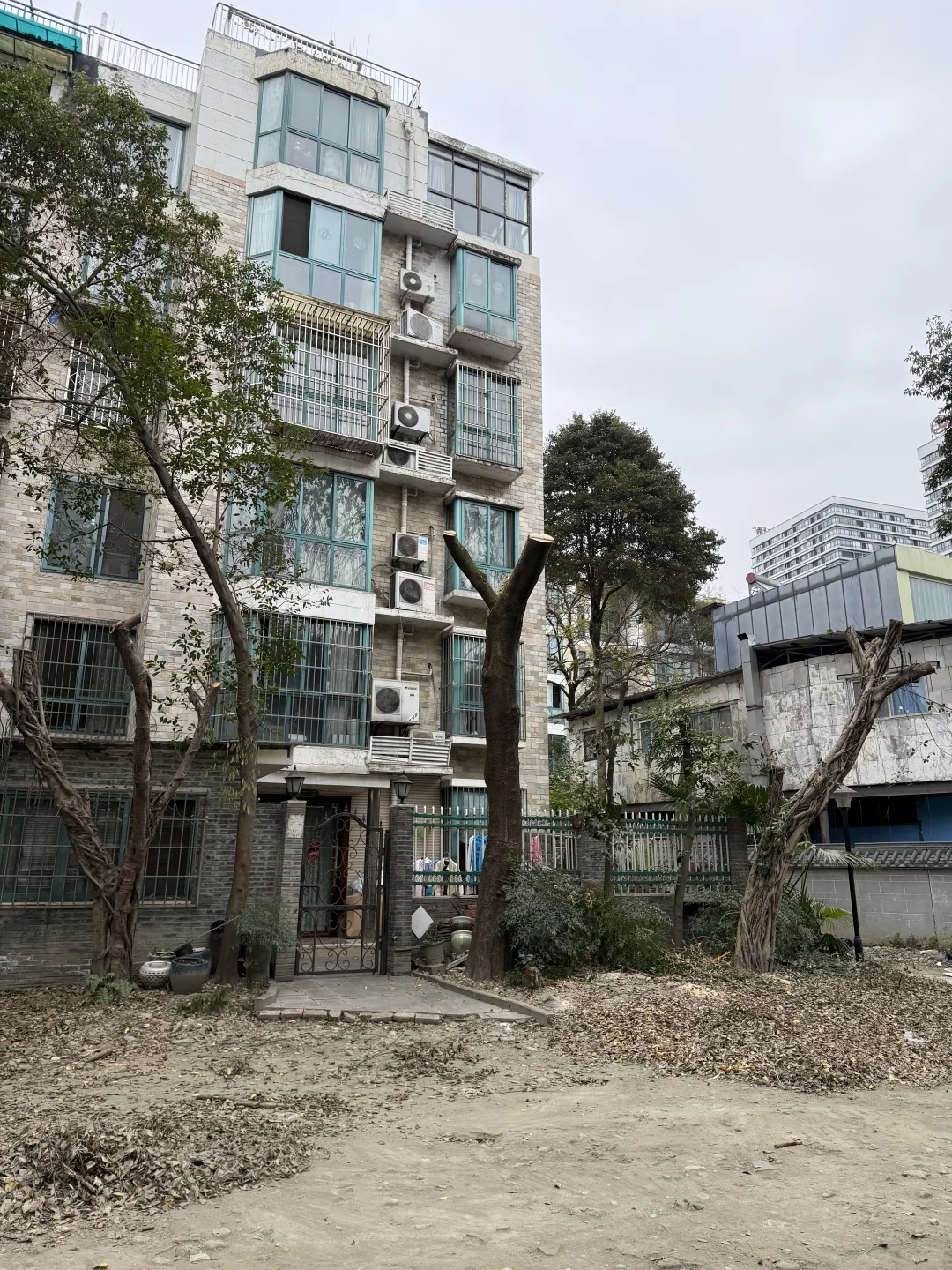 被截肢的树木🌳