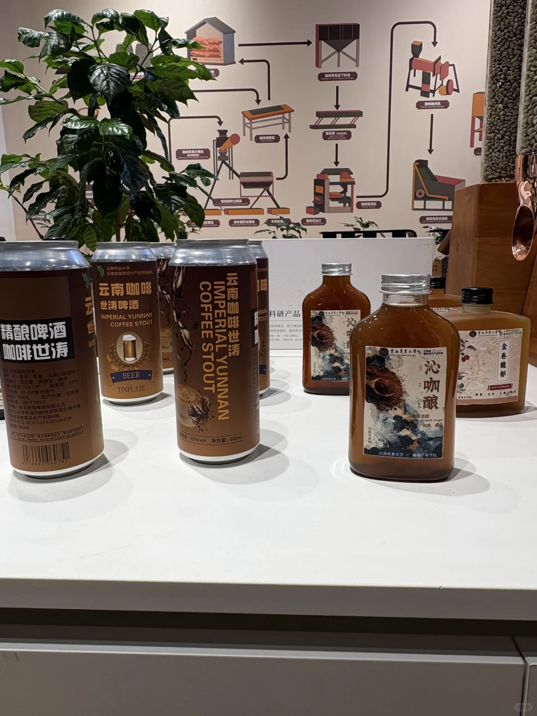 云南农业大学现代咖啡