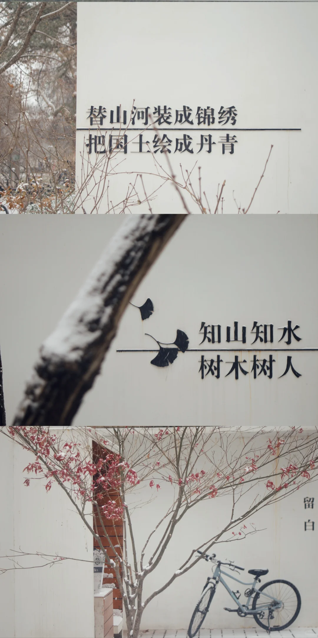 北京初雪|雪中的北京林业大学