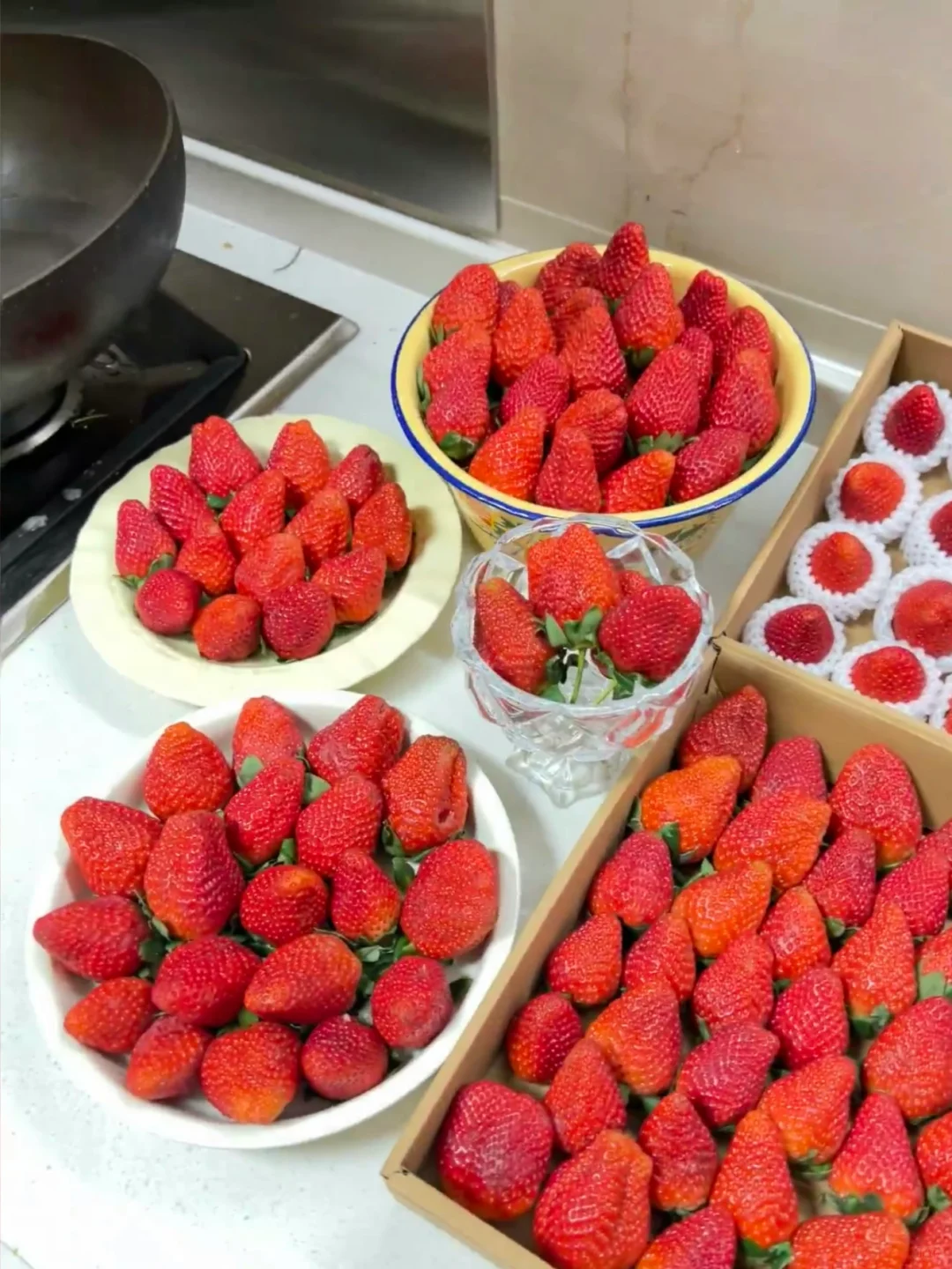 又到草莓季啦🍓大凉山露天冬草莓即将上线