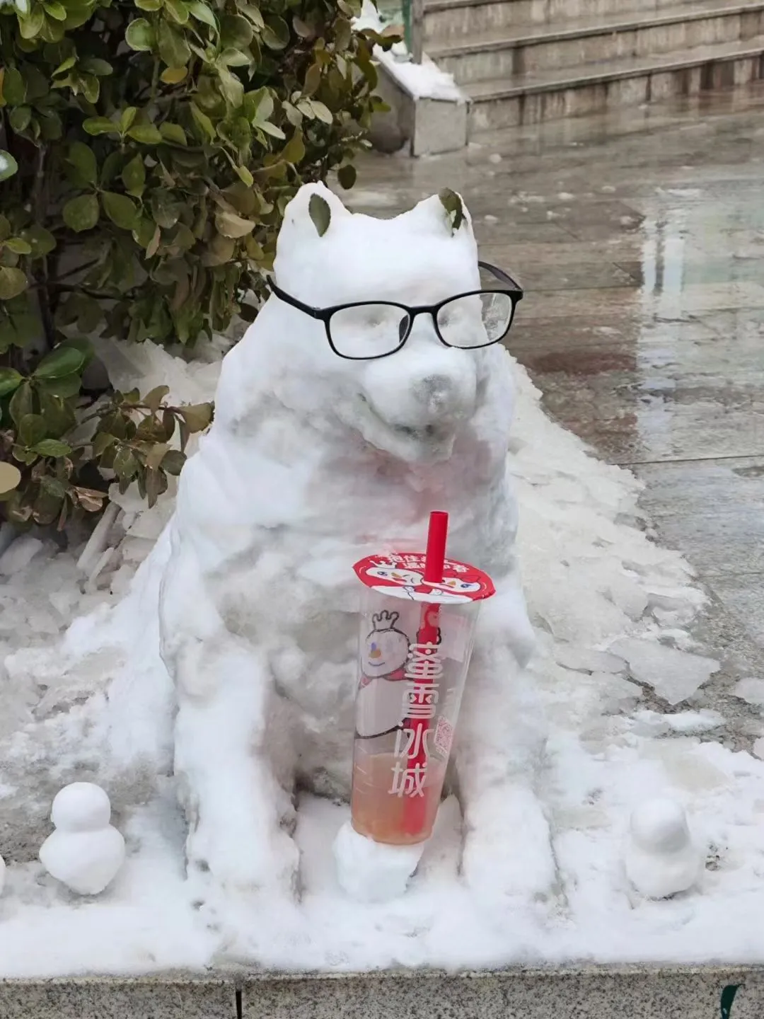 回顾 23 年北林的狗神进化史