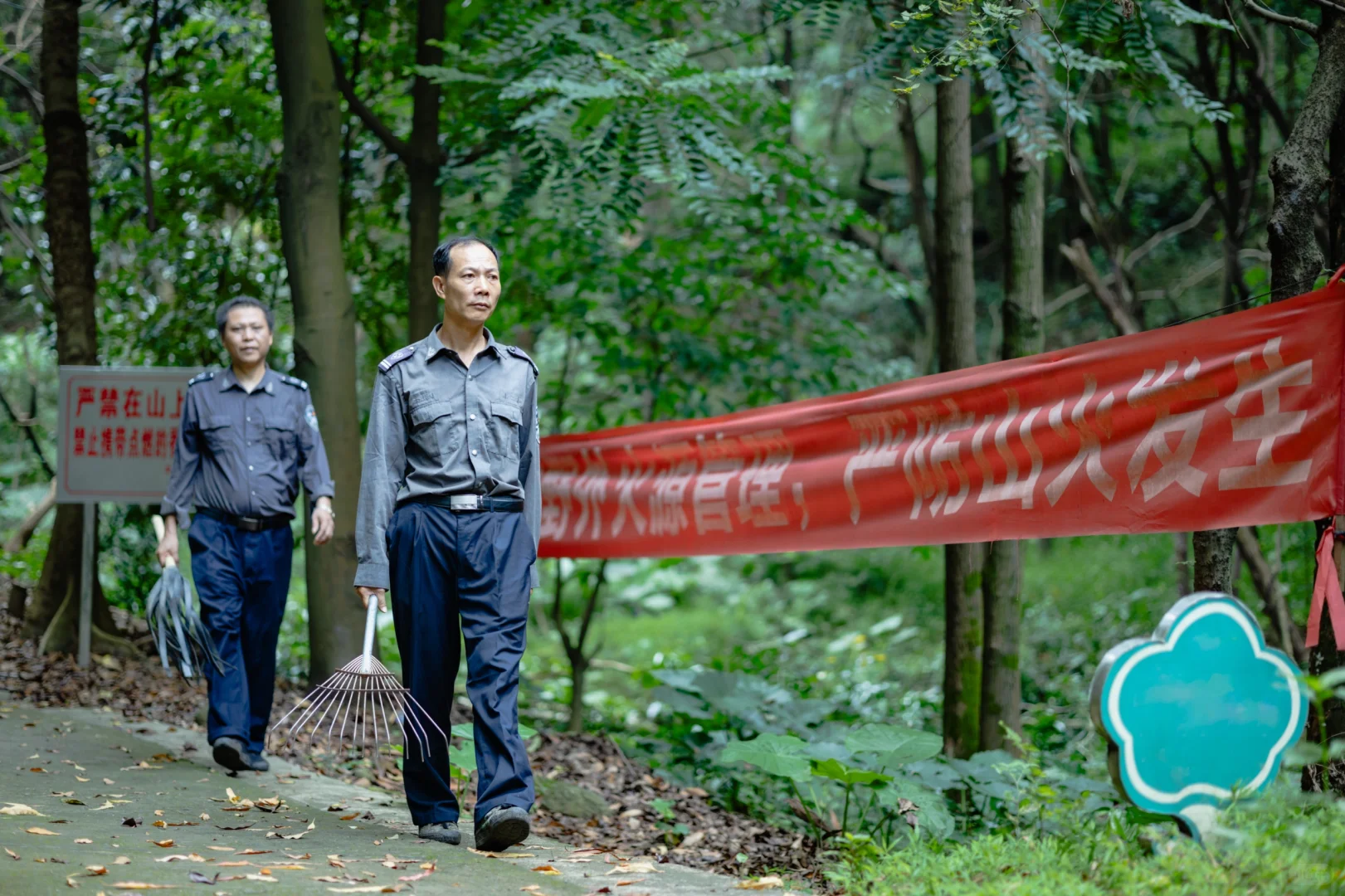 【记录100种职业】第一期：护林员