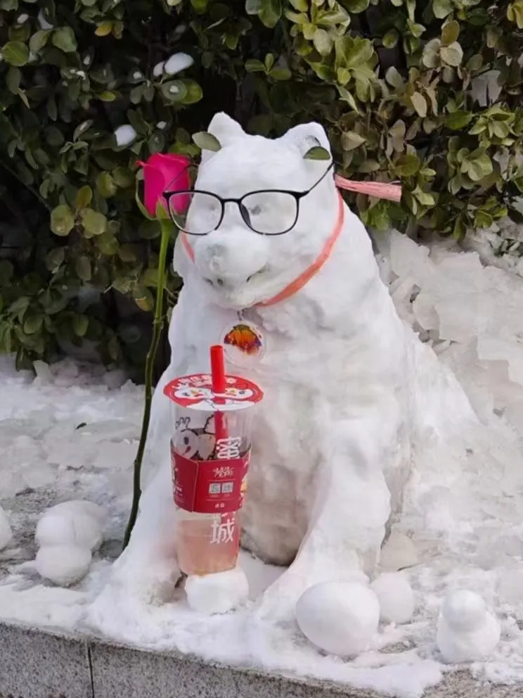 回顾 23 年北林的狗神进化史