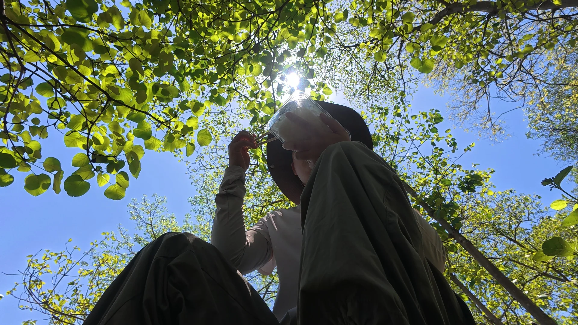 这次的野外工作告一段落