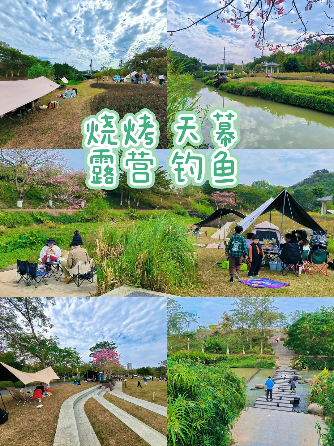 长岭农业公园｜天幕野餐｜钓鱼烧烤｜遛娃