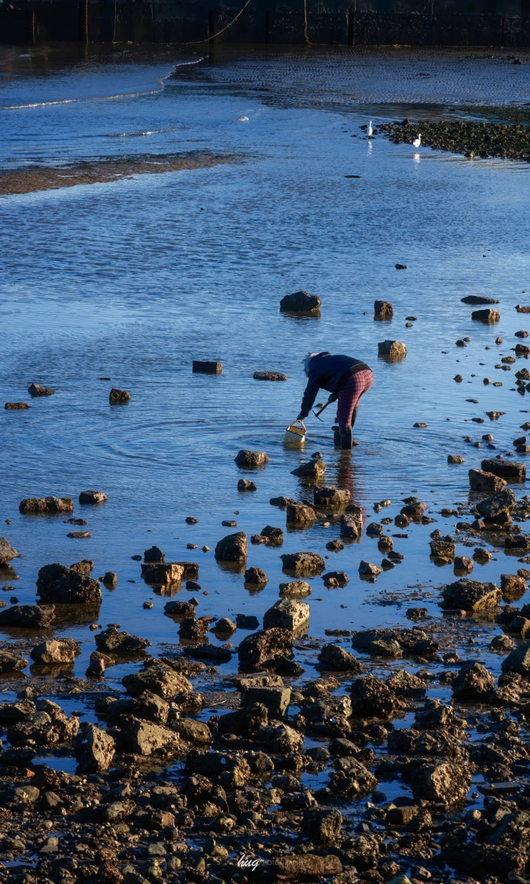 🌊烟台｜劳作的渔民，成了画面里最好的点缀