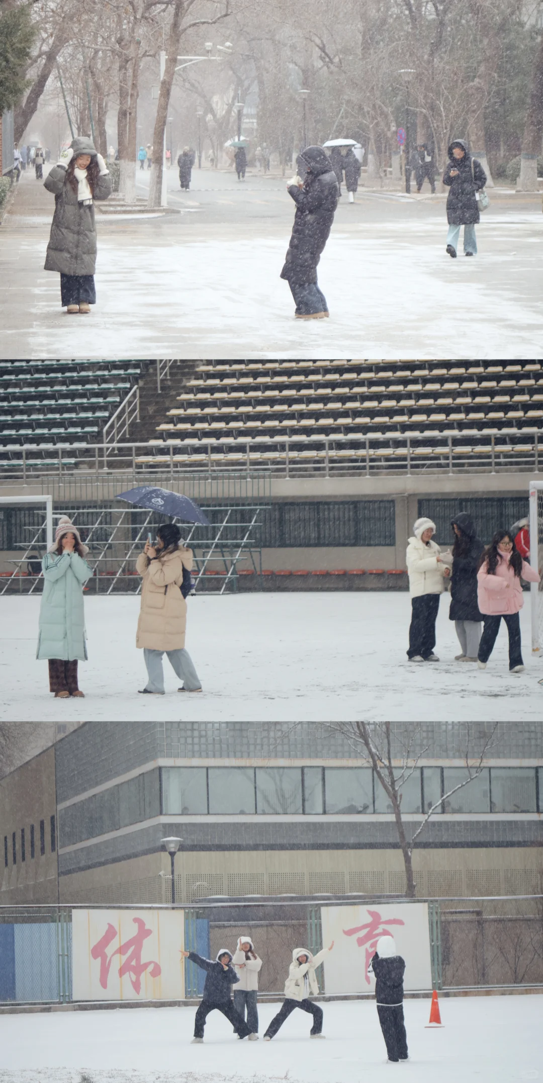 北京初雪|雪中的北京林业大学