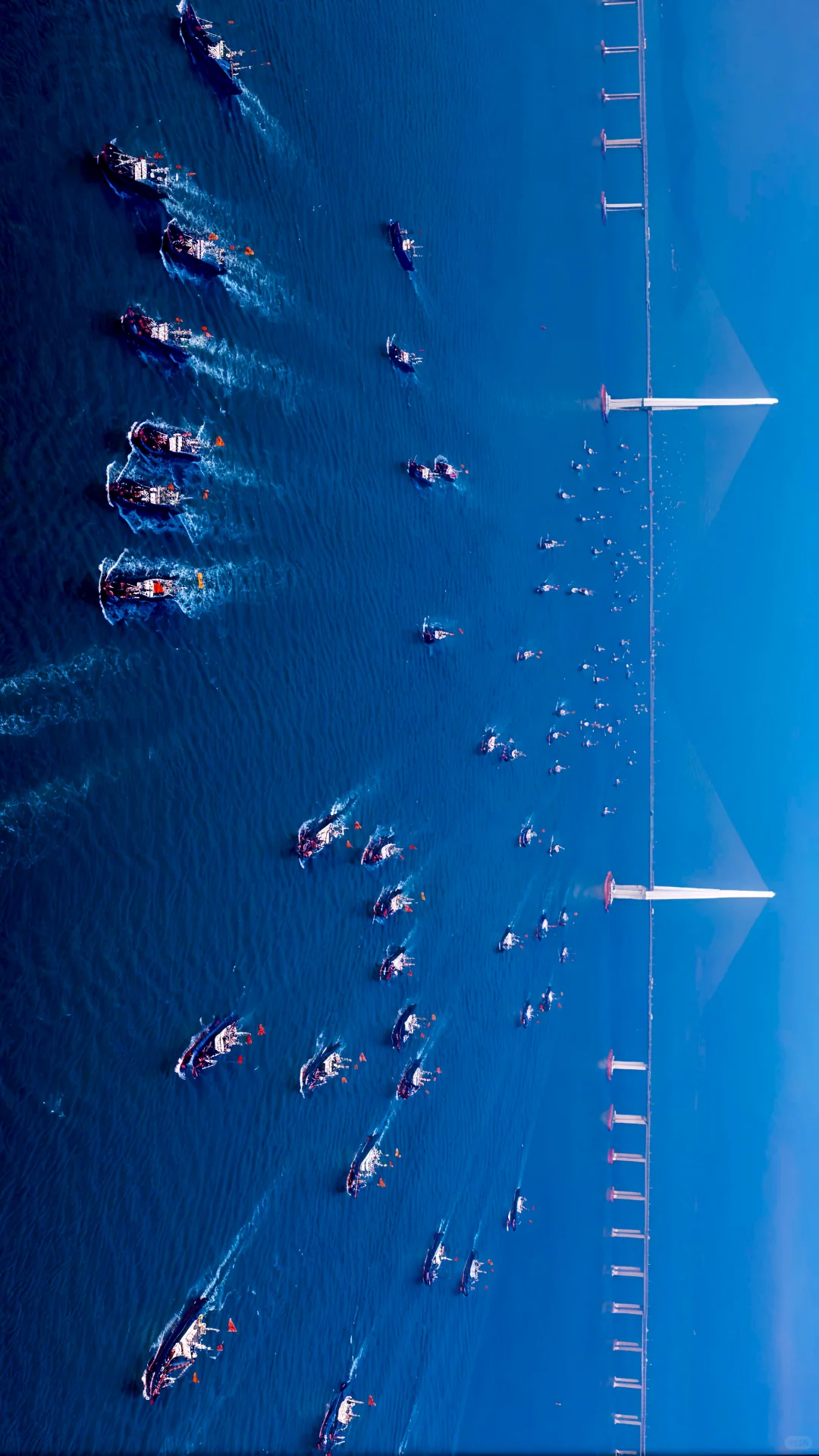 快@你身边最会摄影的人，一起来拍开渔节！