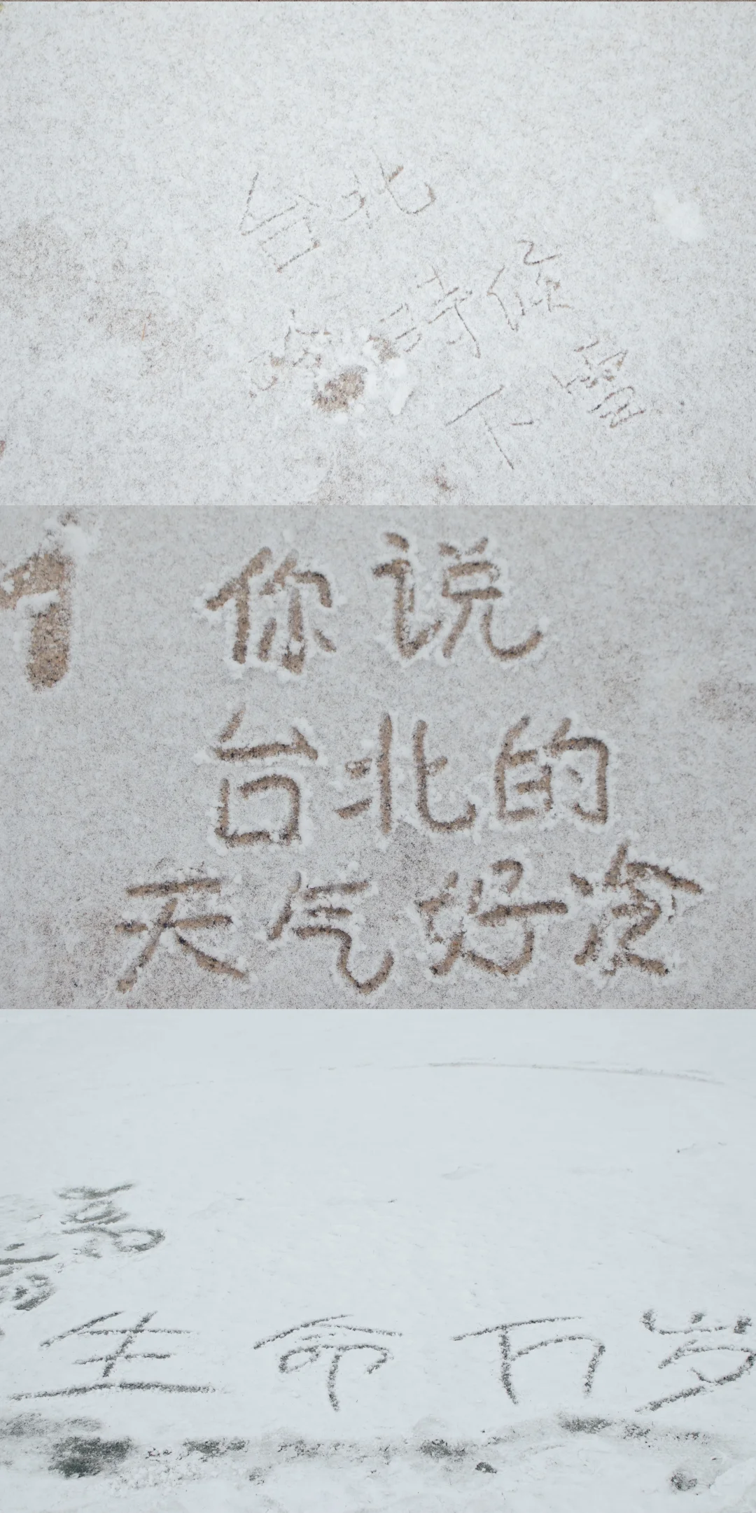 北京初雪|雪中的北京林业大学