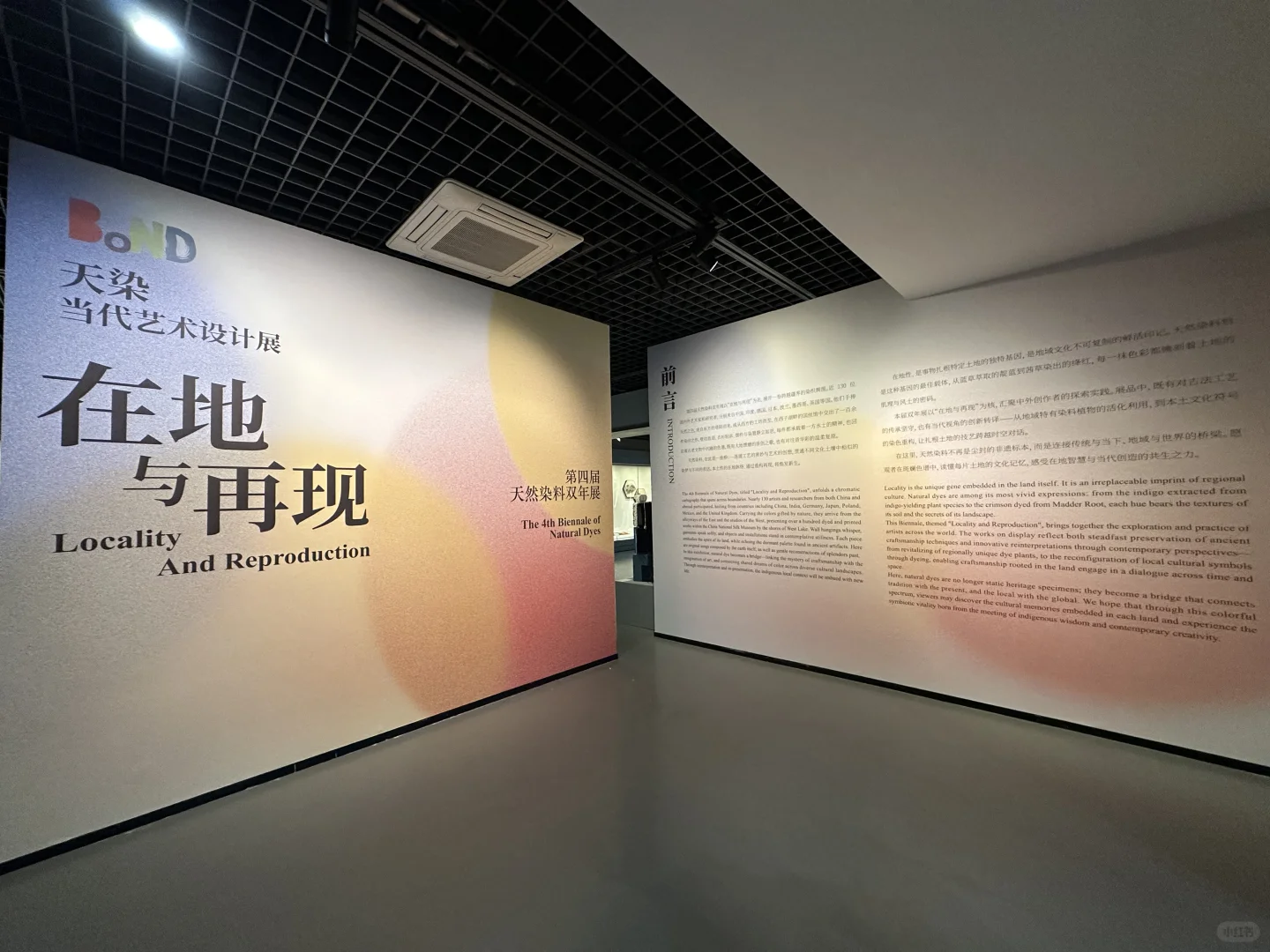 绽出—在地与再现