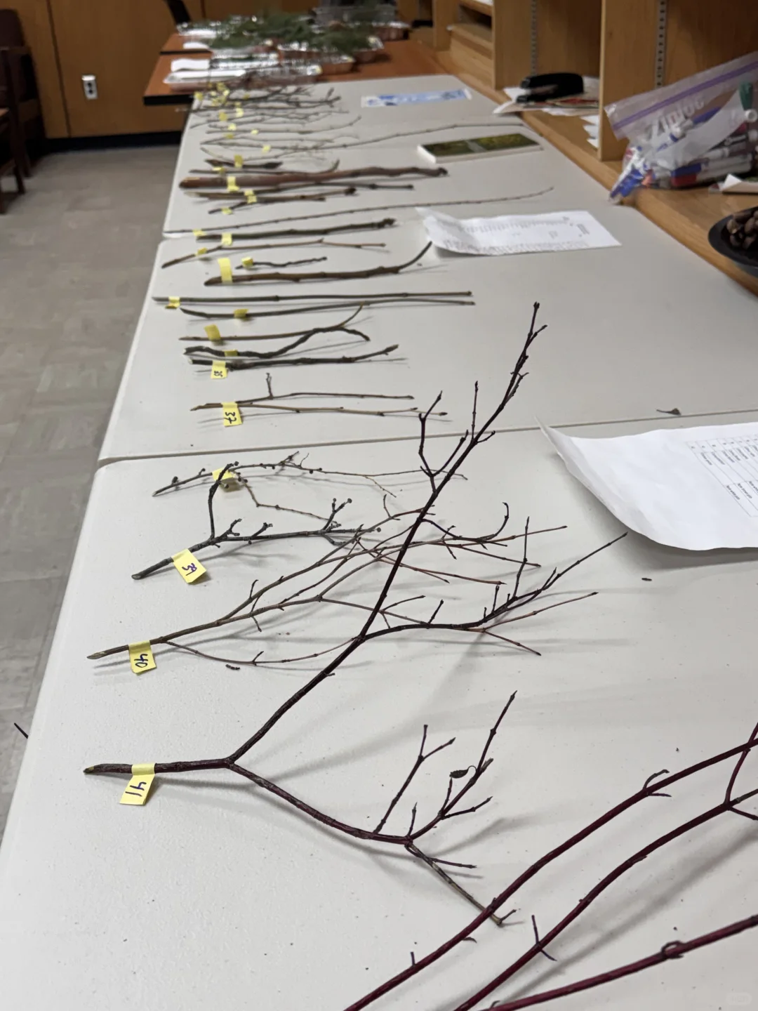 复习林业期末考be like