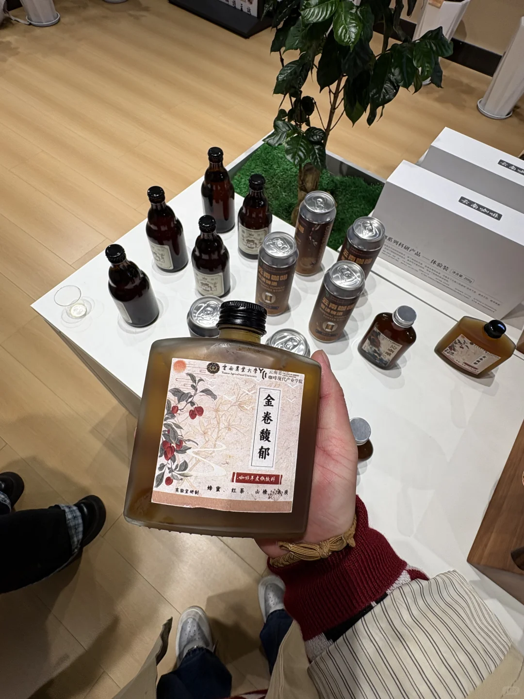 云南农业大学现代咖啡