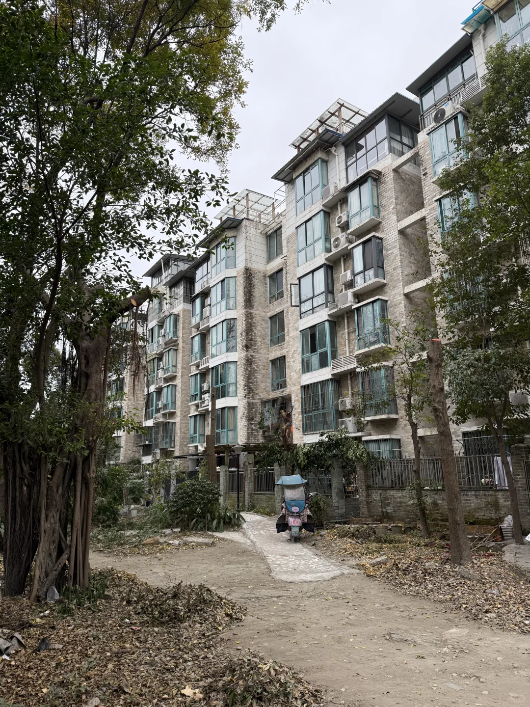 被截肢的树木🌳