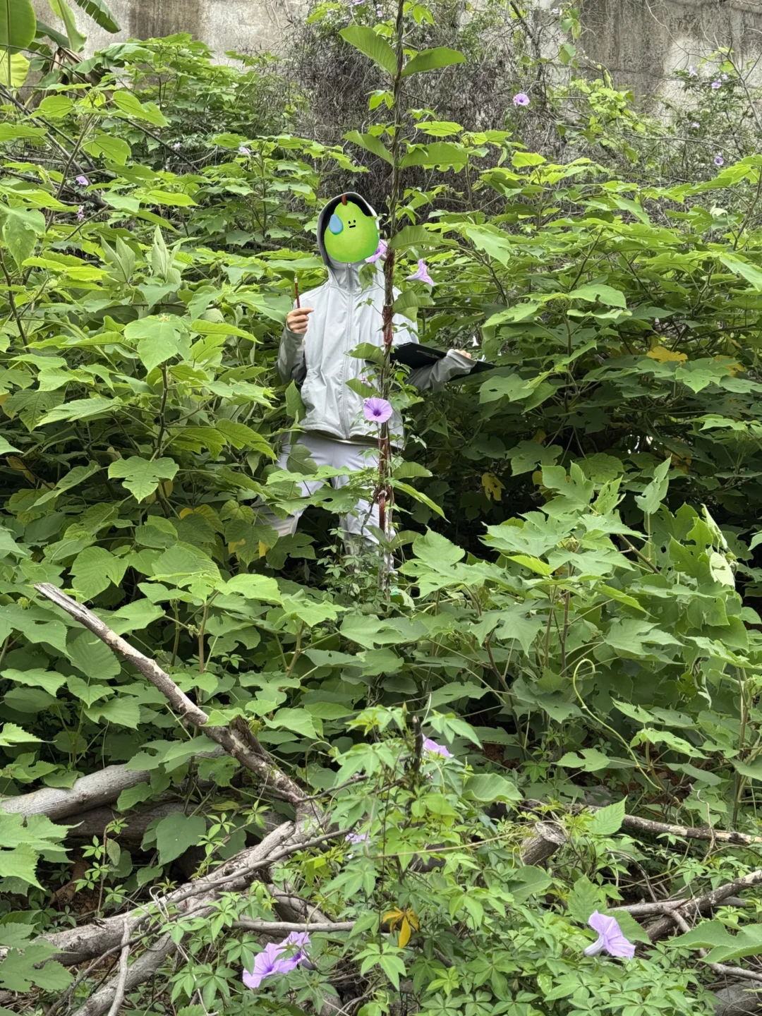 林业人勇闯大山😇