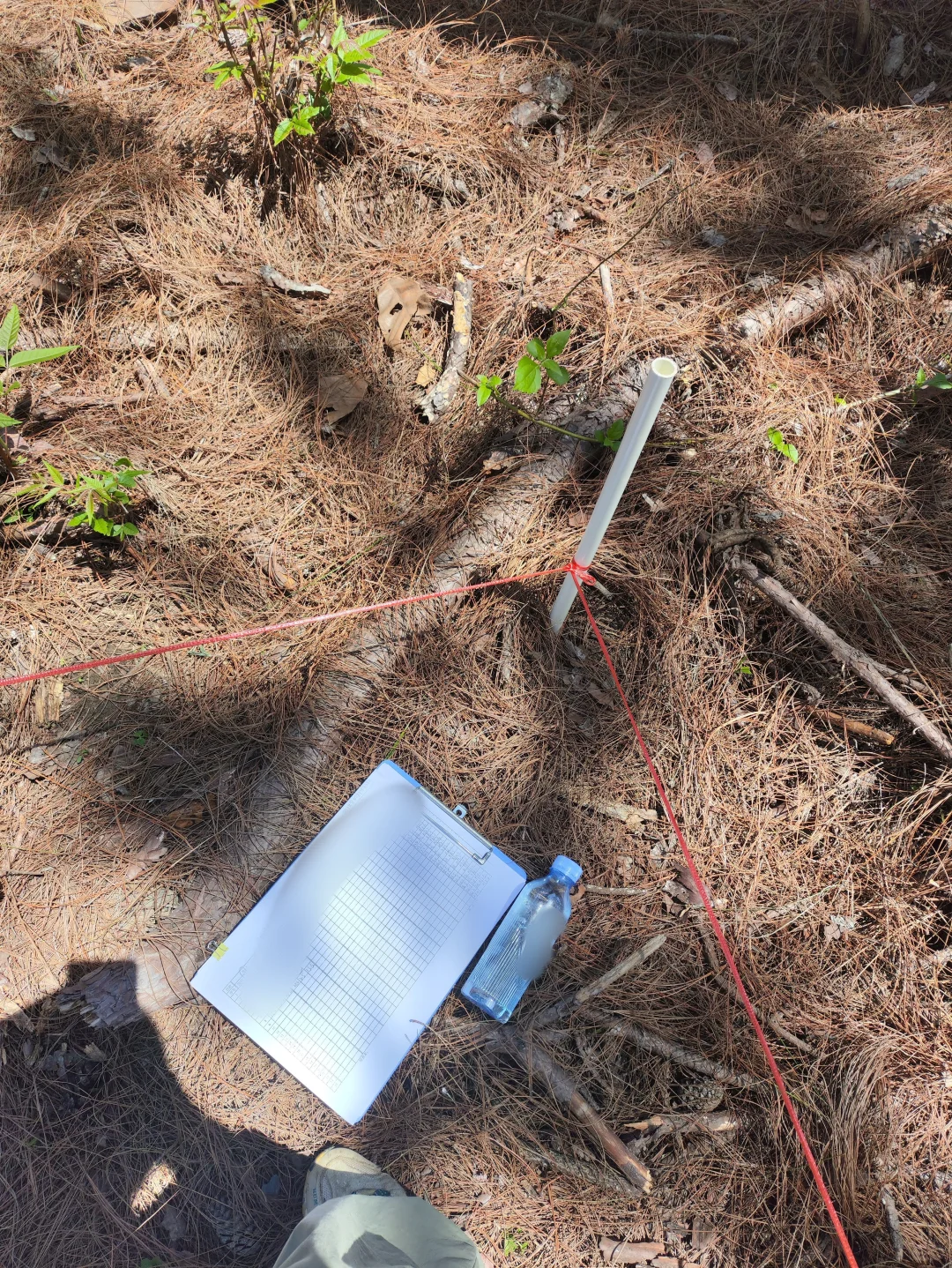 这次的野外工作告一段落