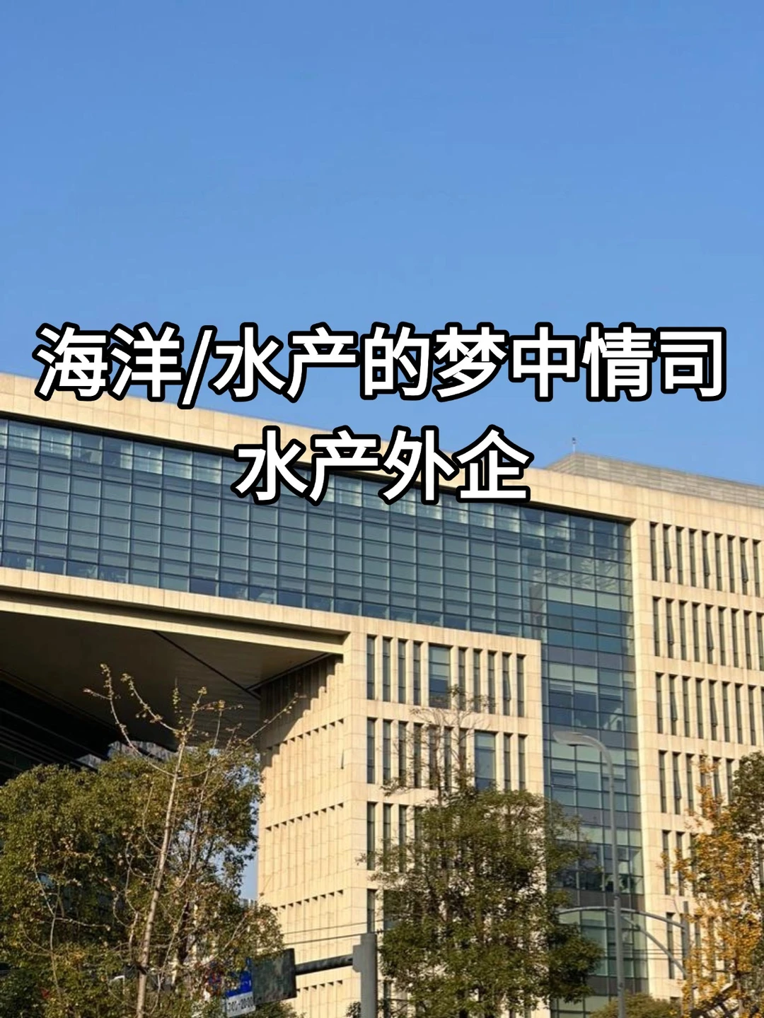 海洋／水产的梦中情司