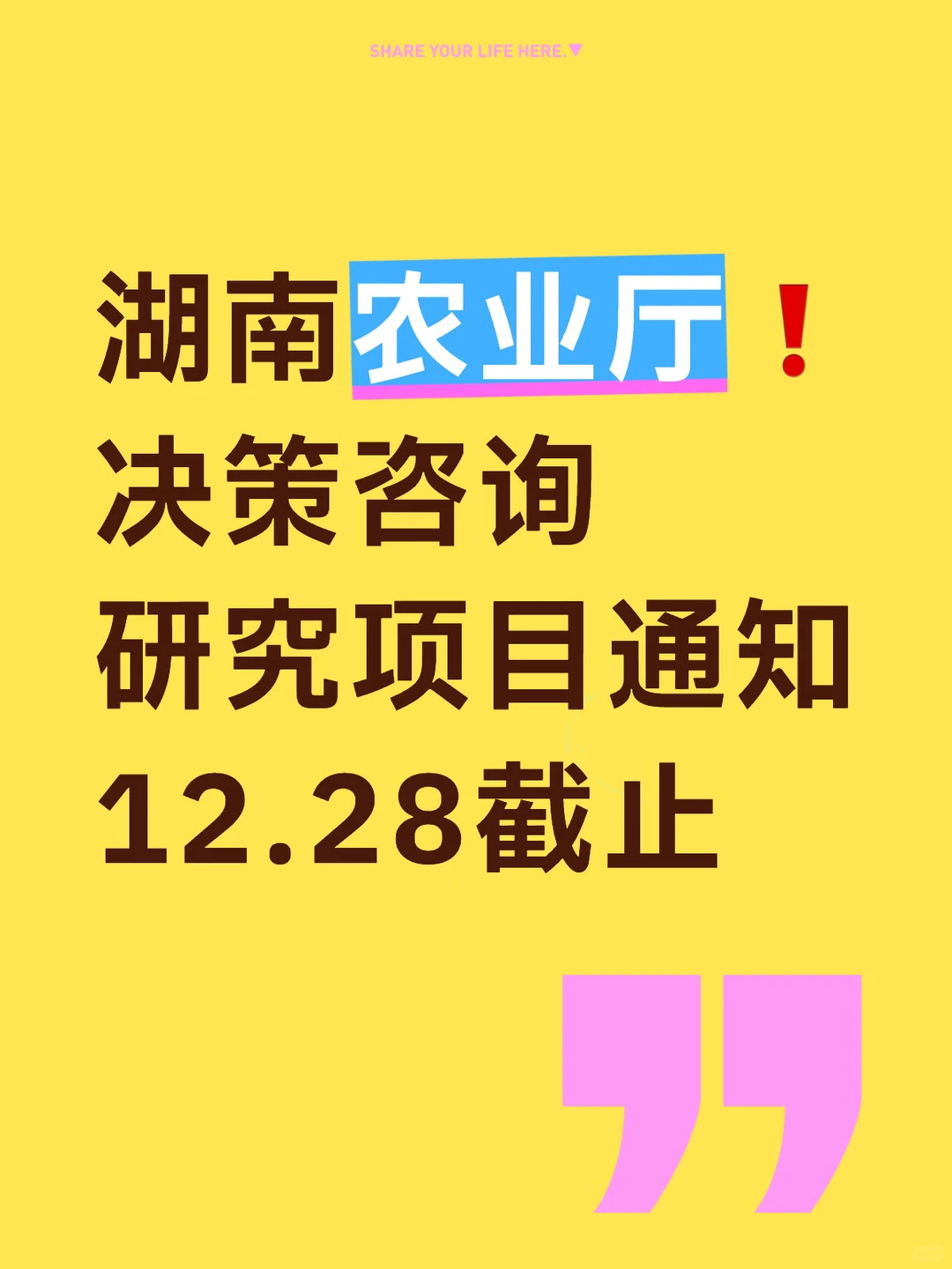 湖南农业厅❗决策咨询研究项目-经费支持