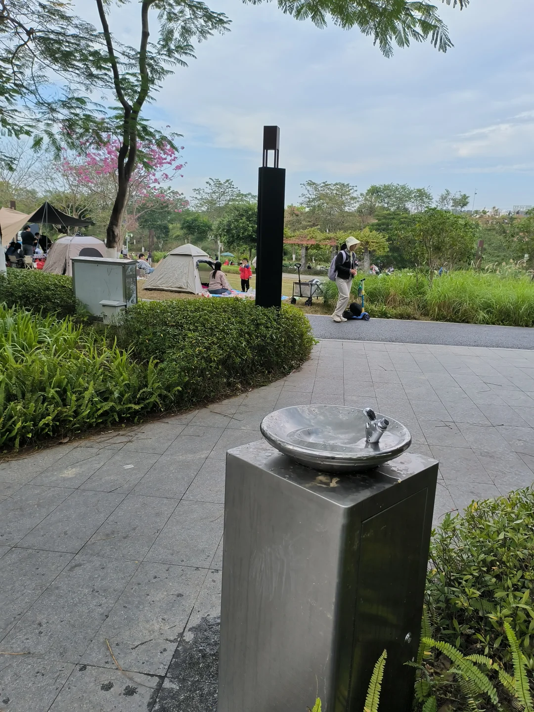 长岭农业公园｜天幕野餐｜钓鱼烧烤｜遛娃