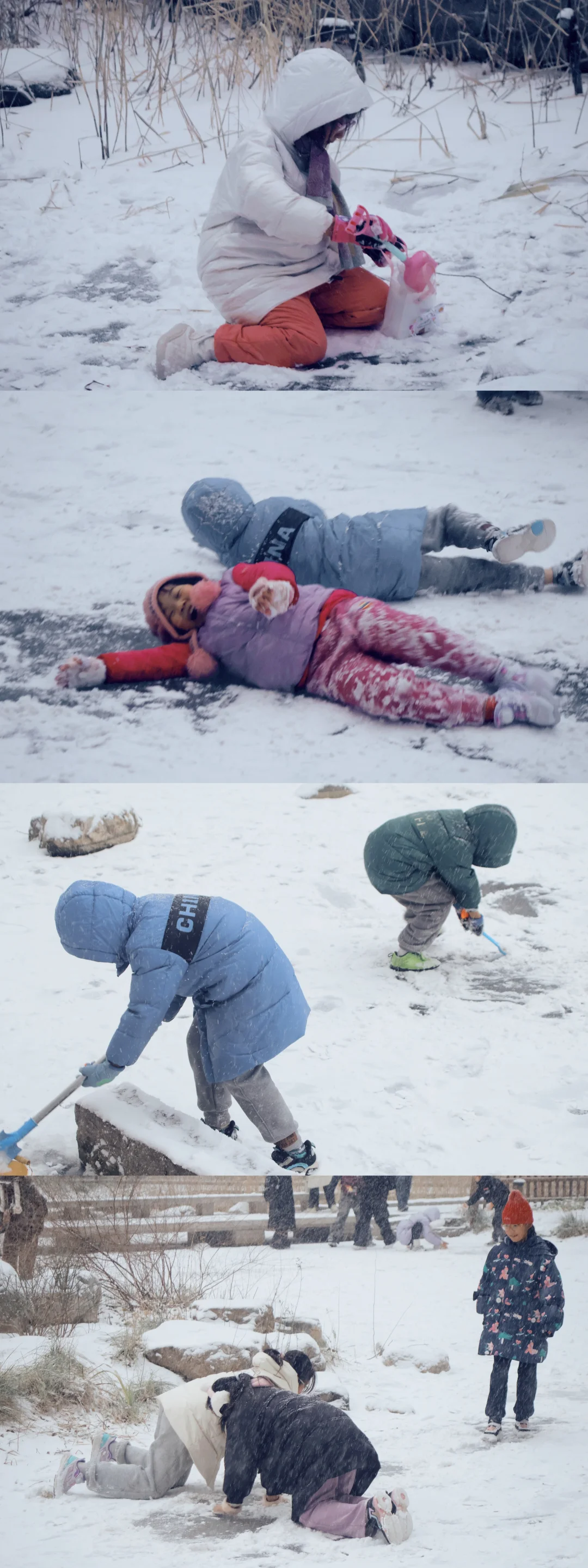 北京初雪|雪中的北京林业大学