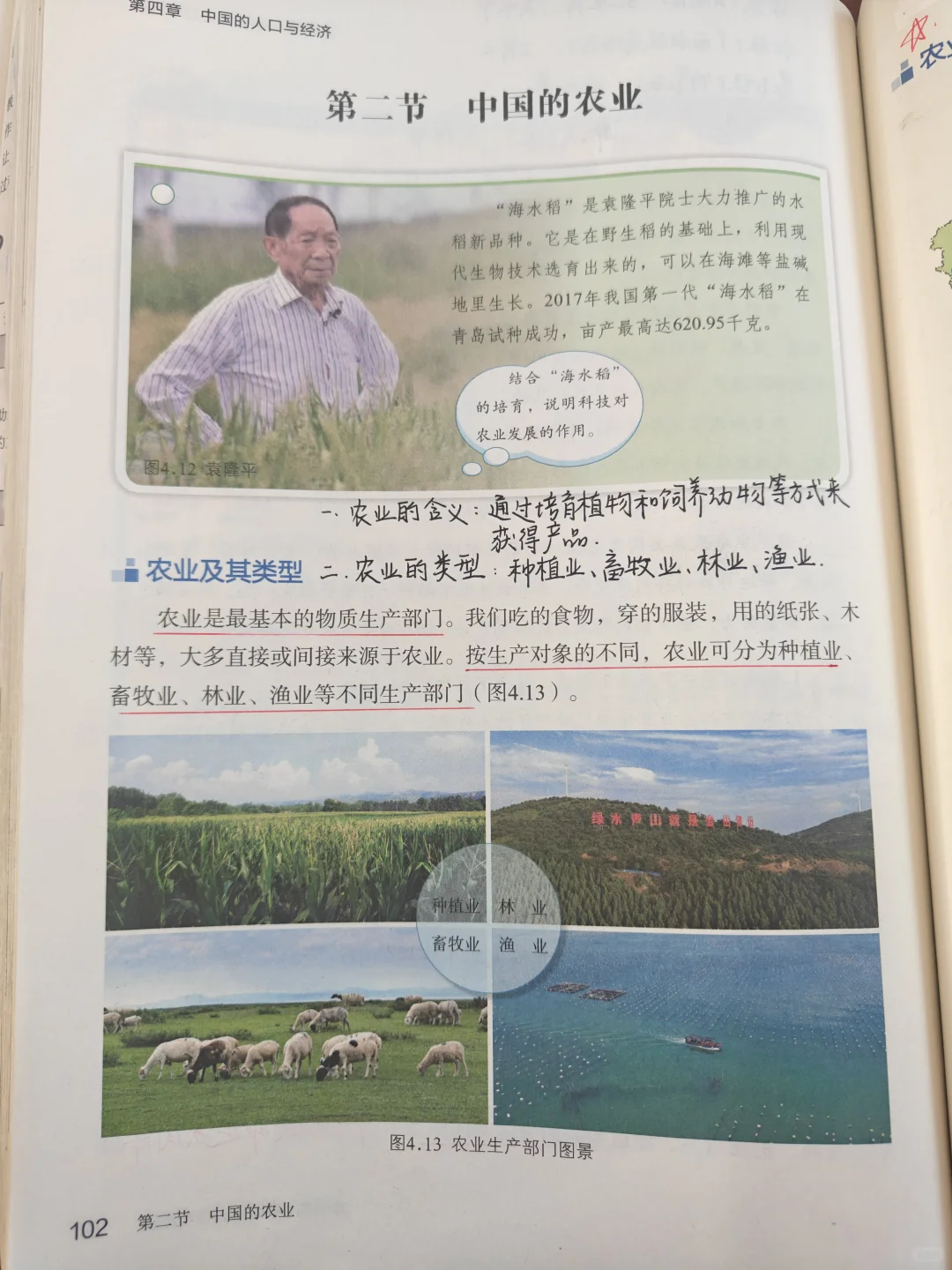 商务星球版八上中国的农业